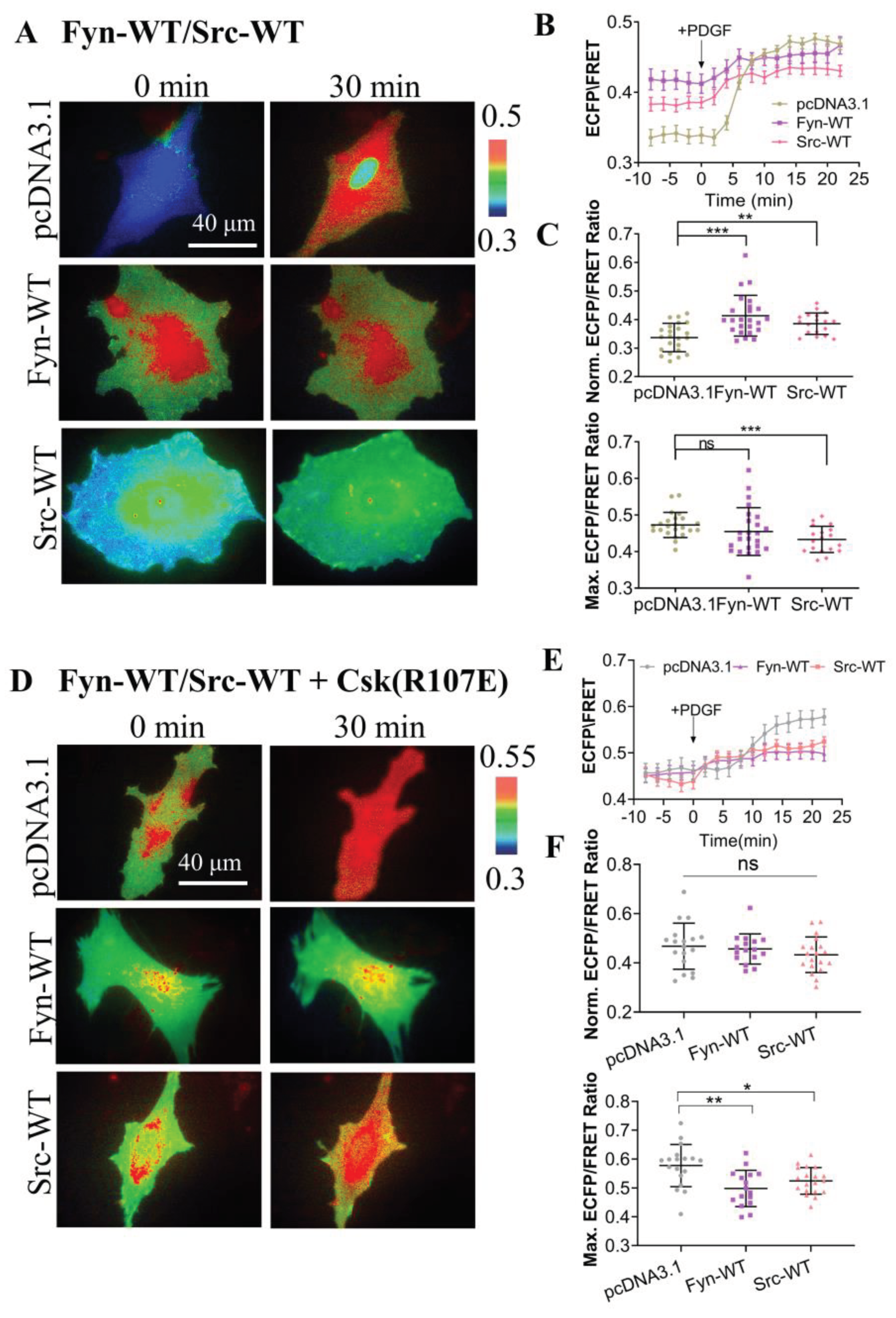 Preprints 100685 g003