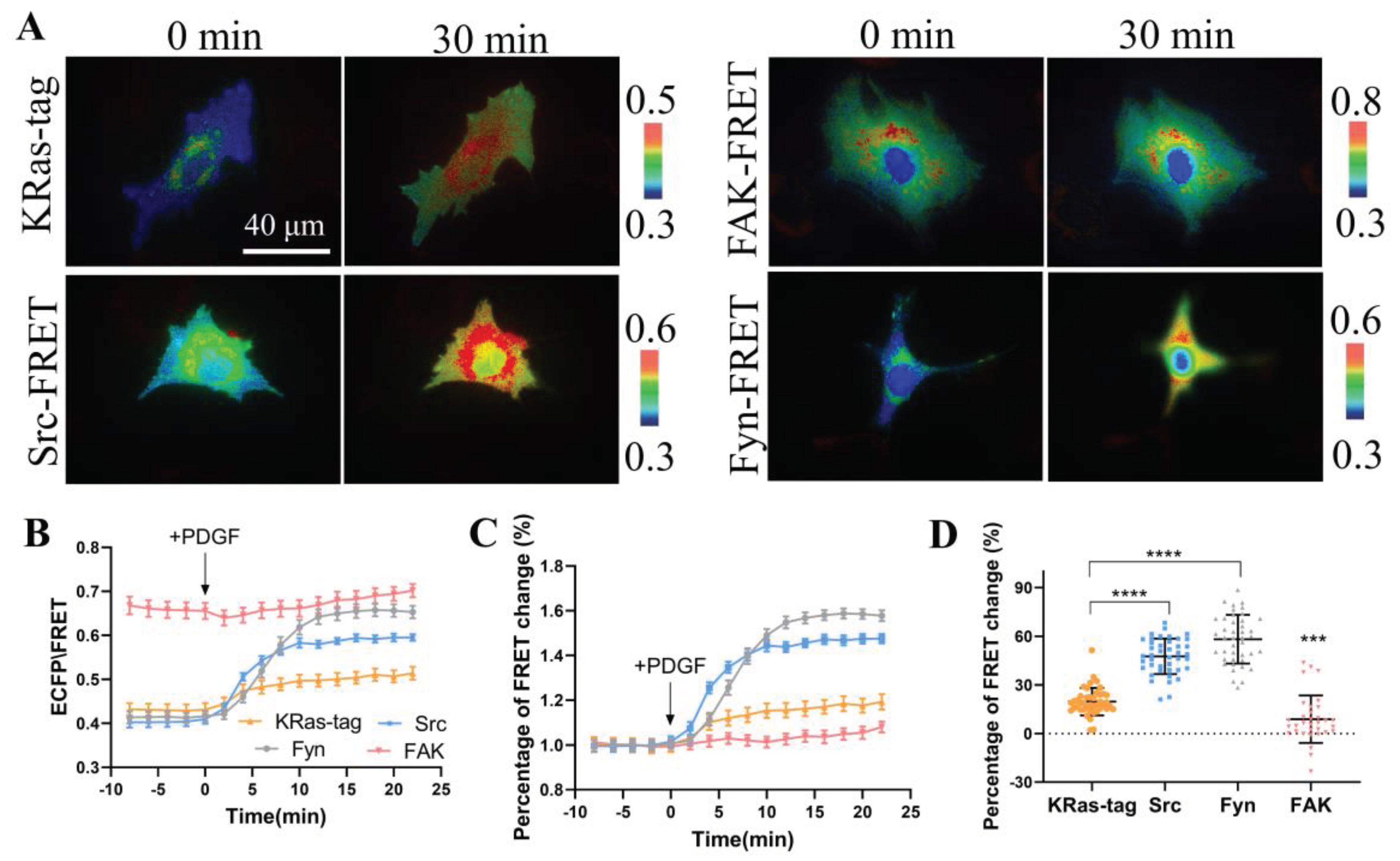 Preprints 100685 g004