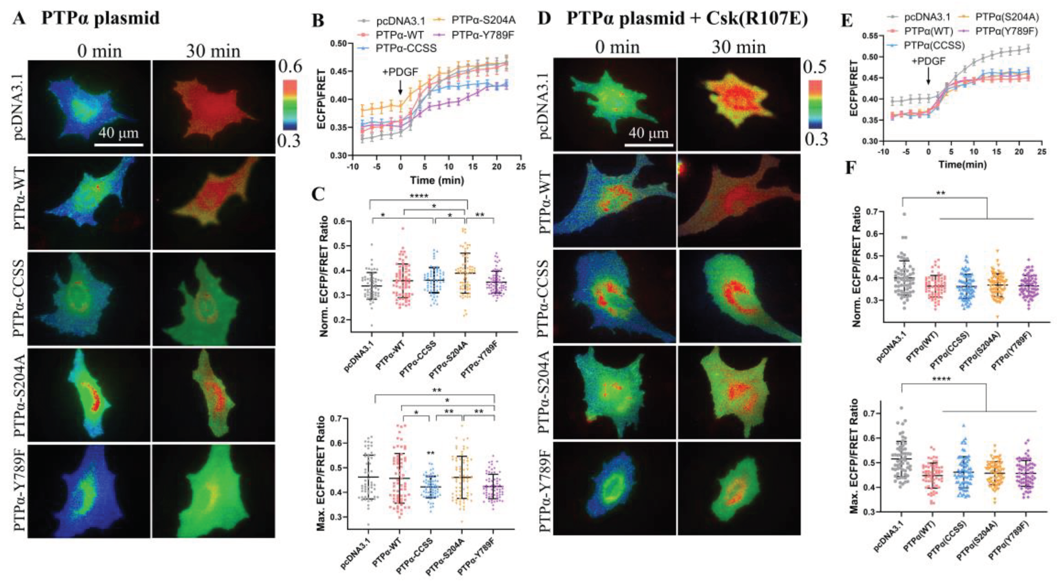 Preprints 100685 g005