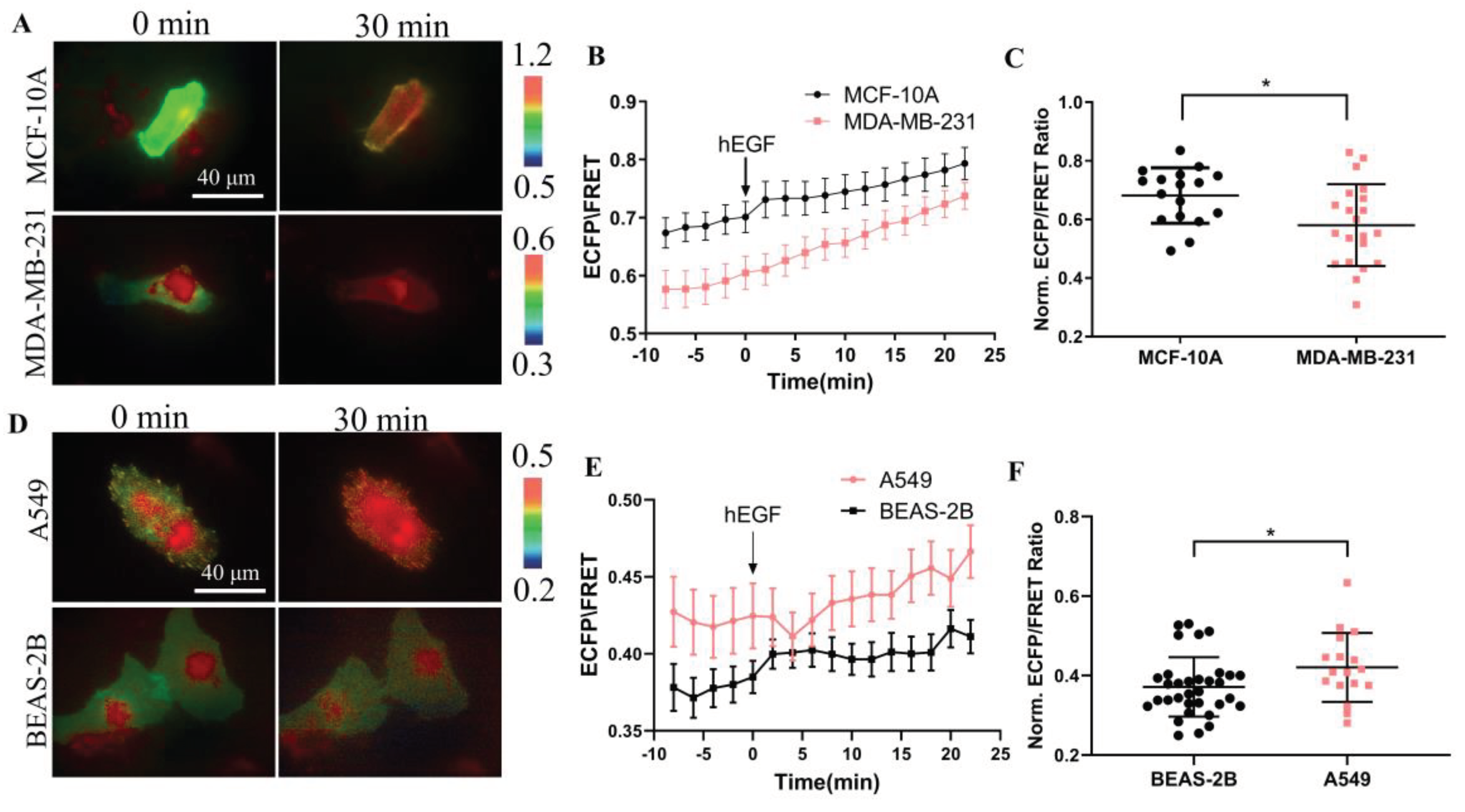 Preprints 100685 g006