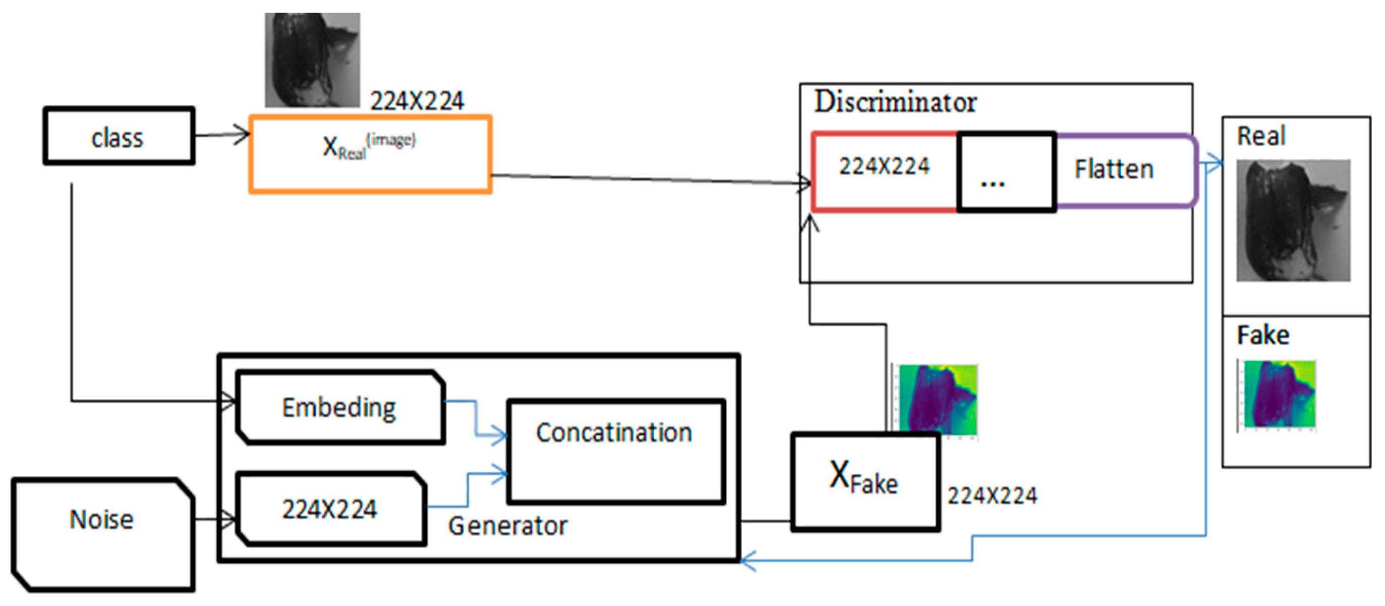 Preprints 115091 g003