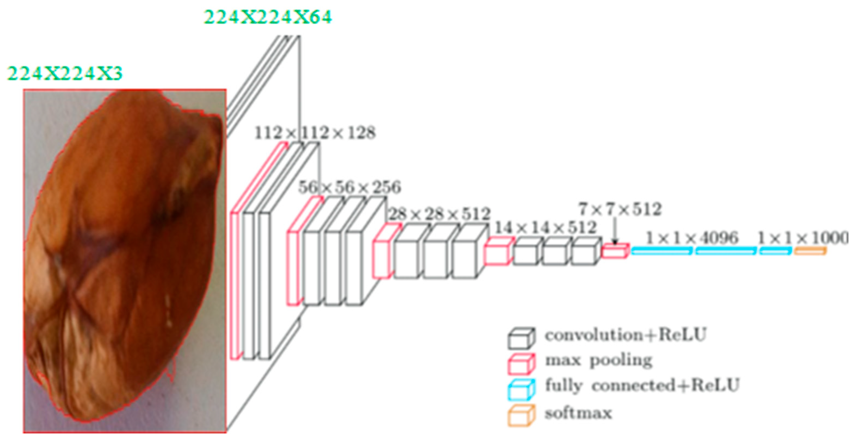 Preprints 115091 g004