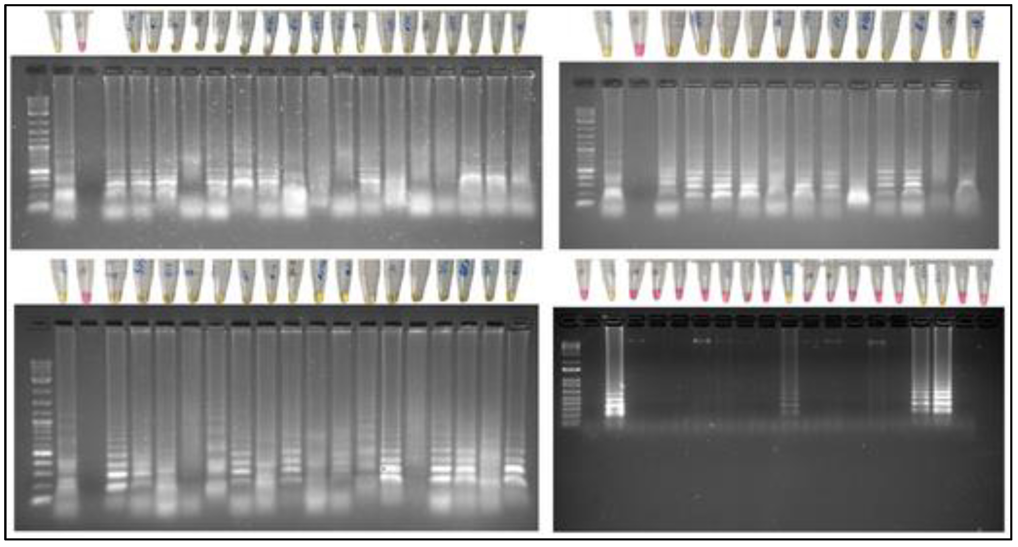 Preprints 117277 g004