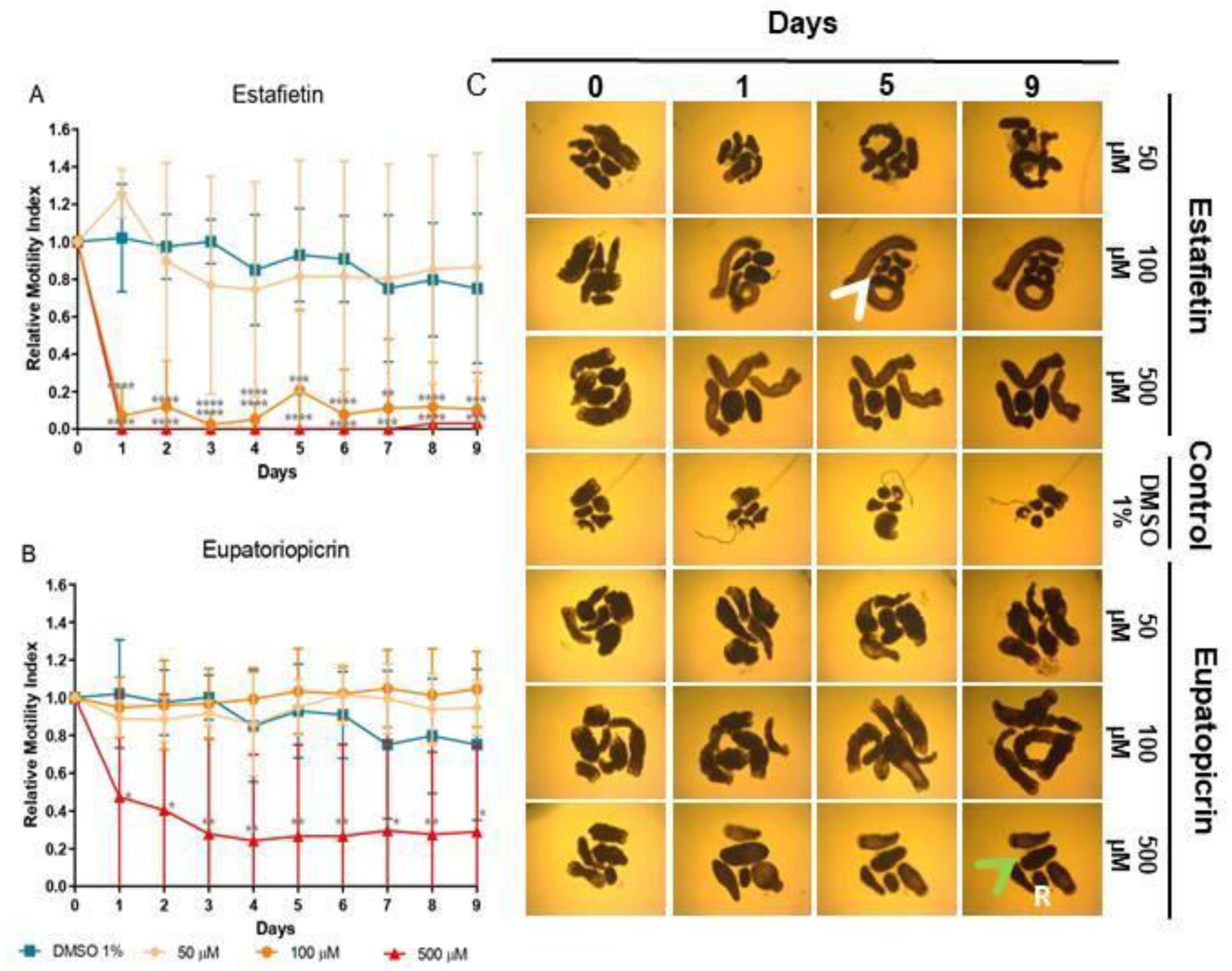 Preprints 114731 g005