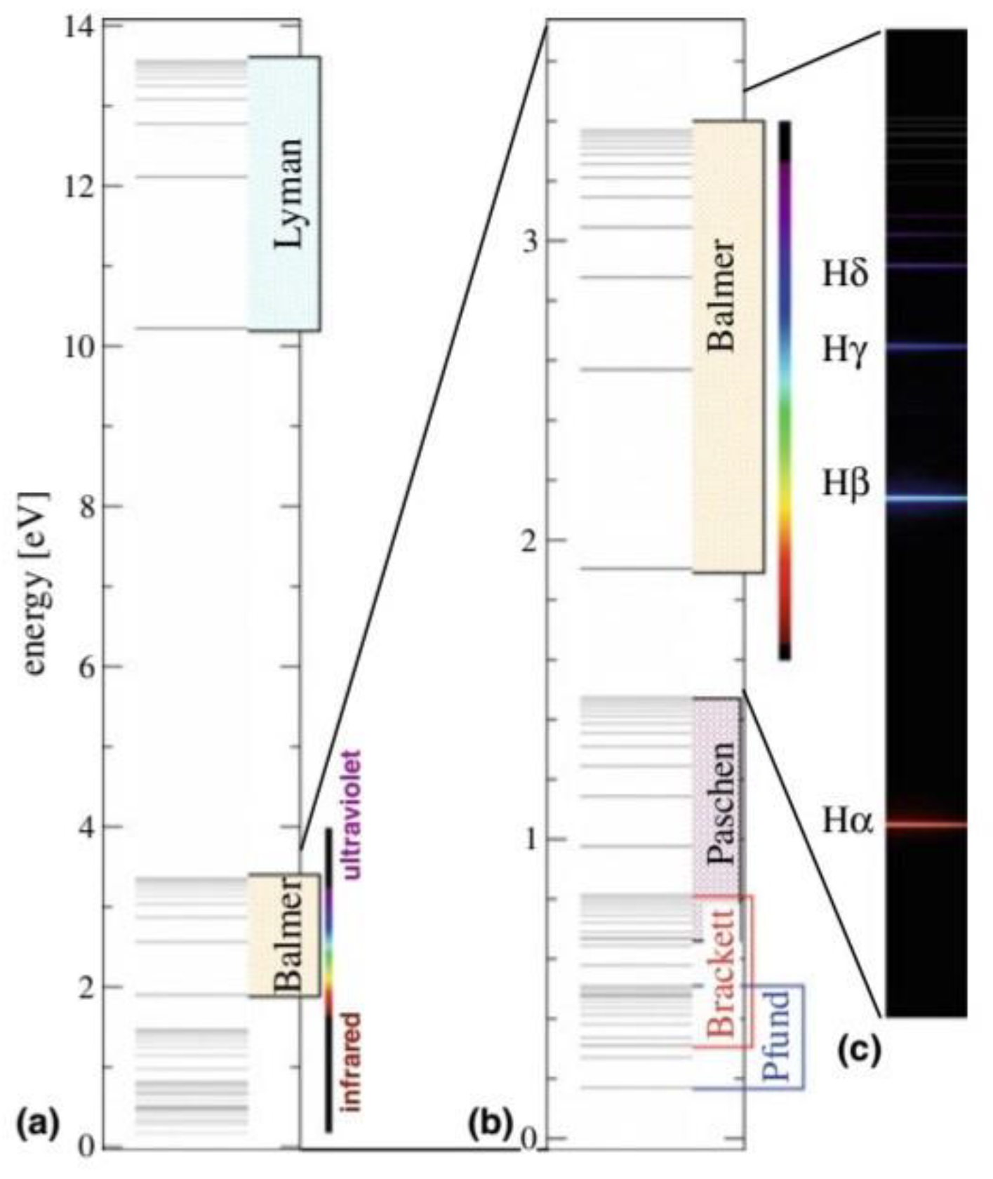 Preprints 121802 g002