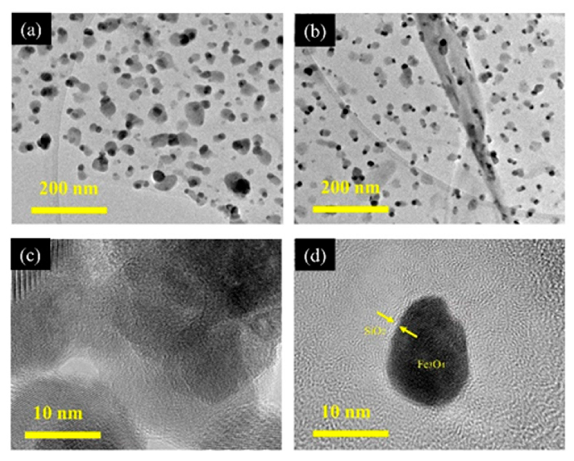 Preprints 114570 g006