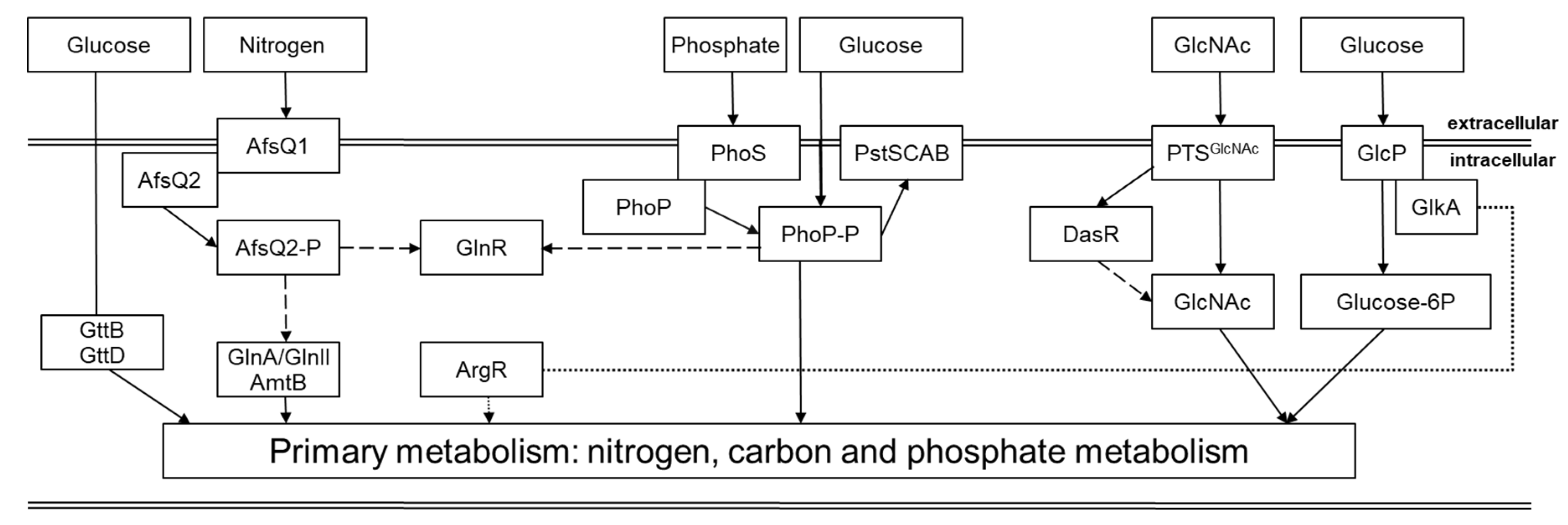 Preprints 119101 g001