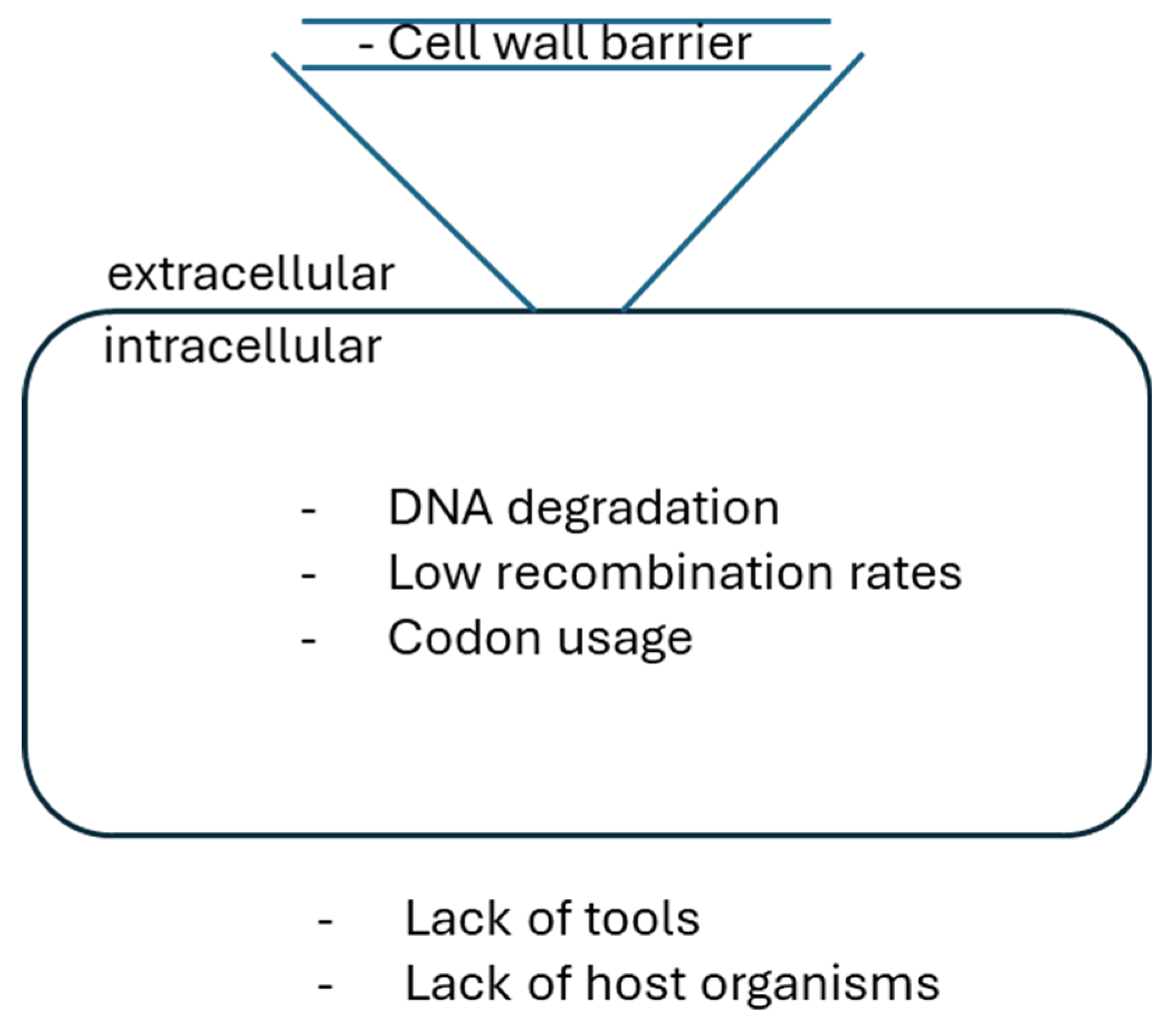 Preprints 119101 g002