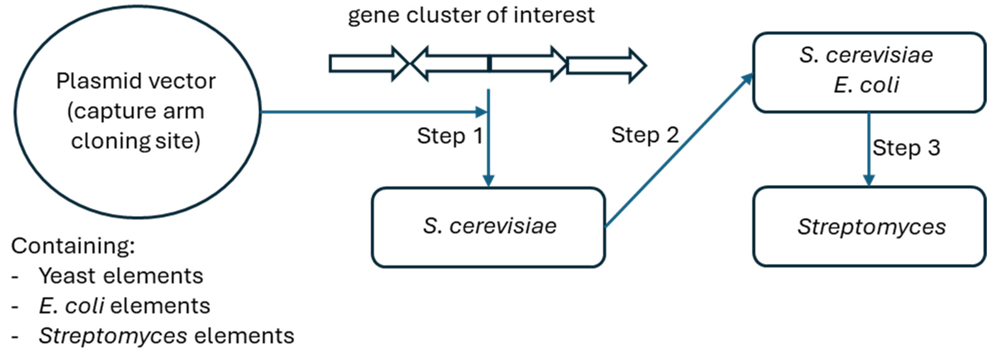 Preprints 119101 g004