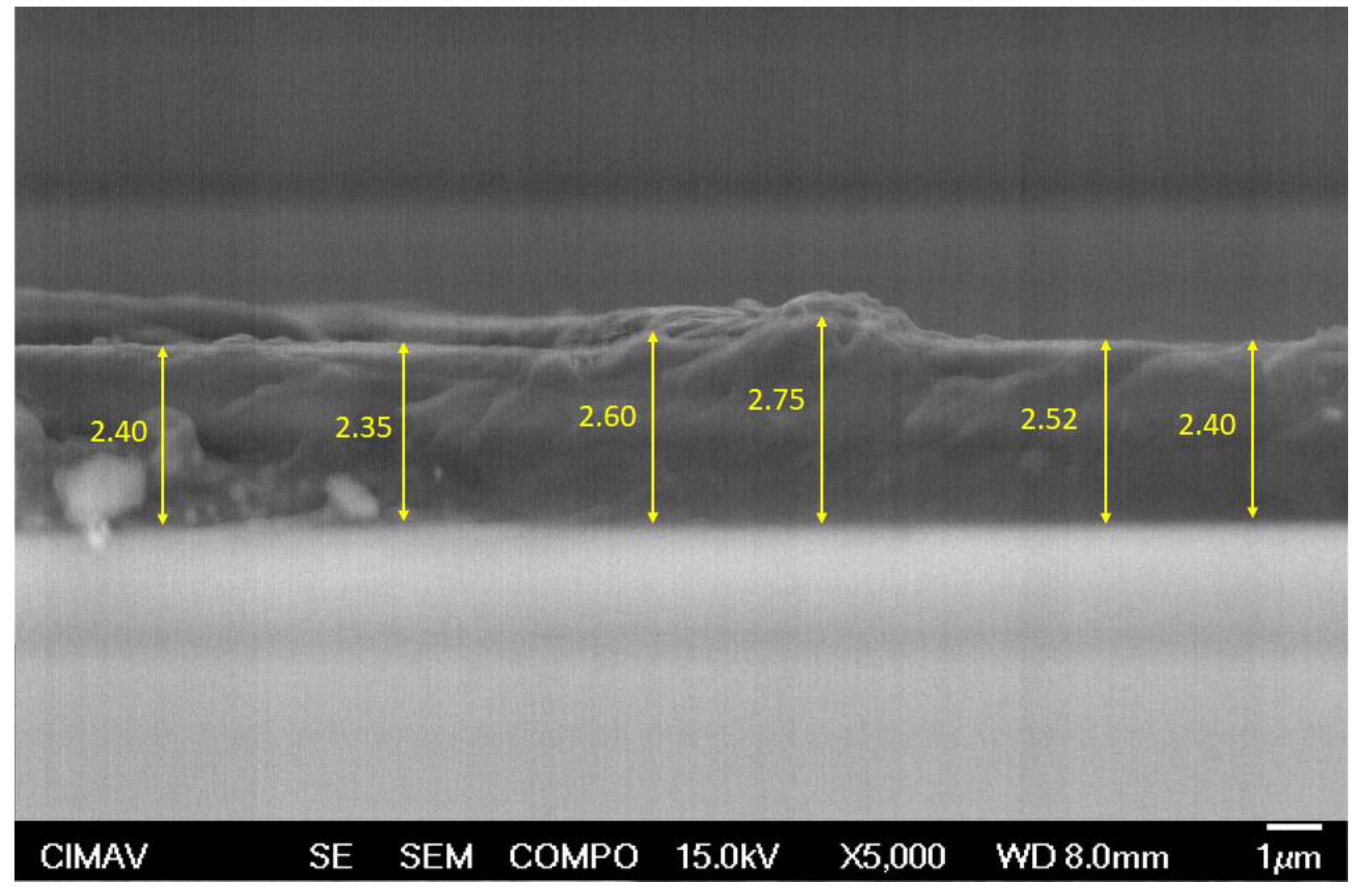 Preprints 103455 g006