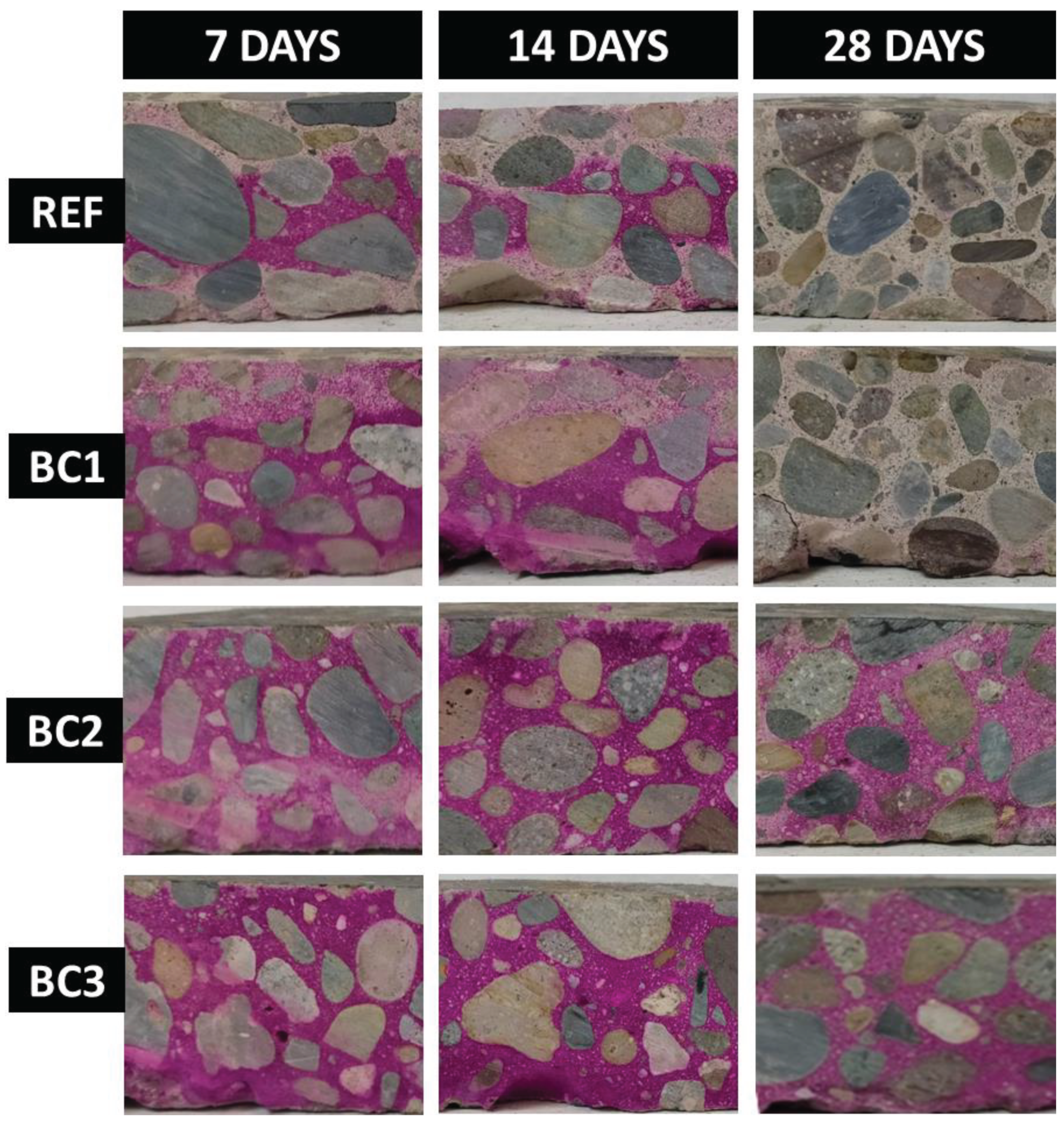 Preprints 103455 g011