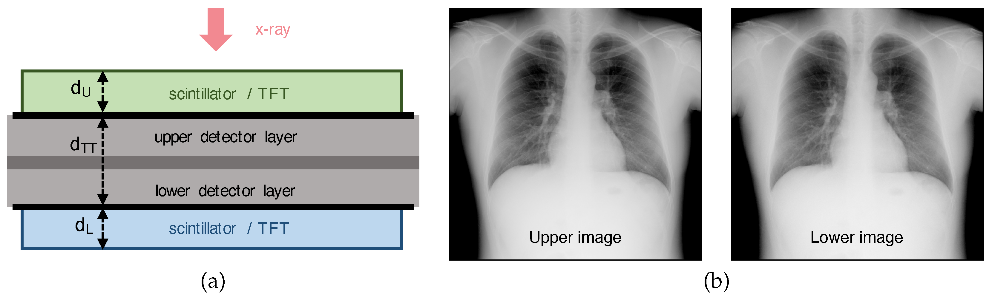 Preprints 137716 g001