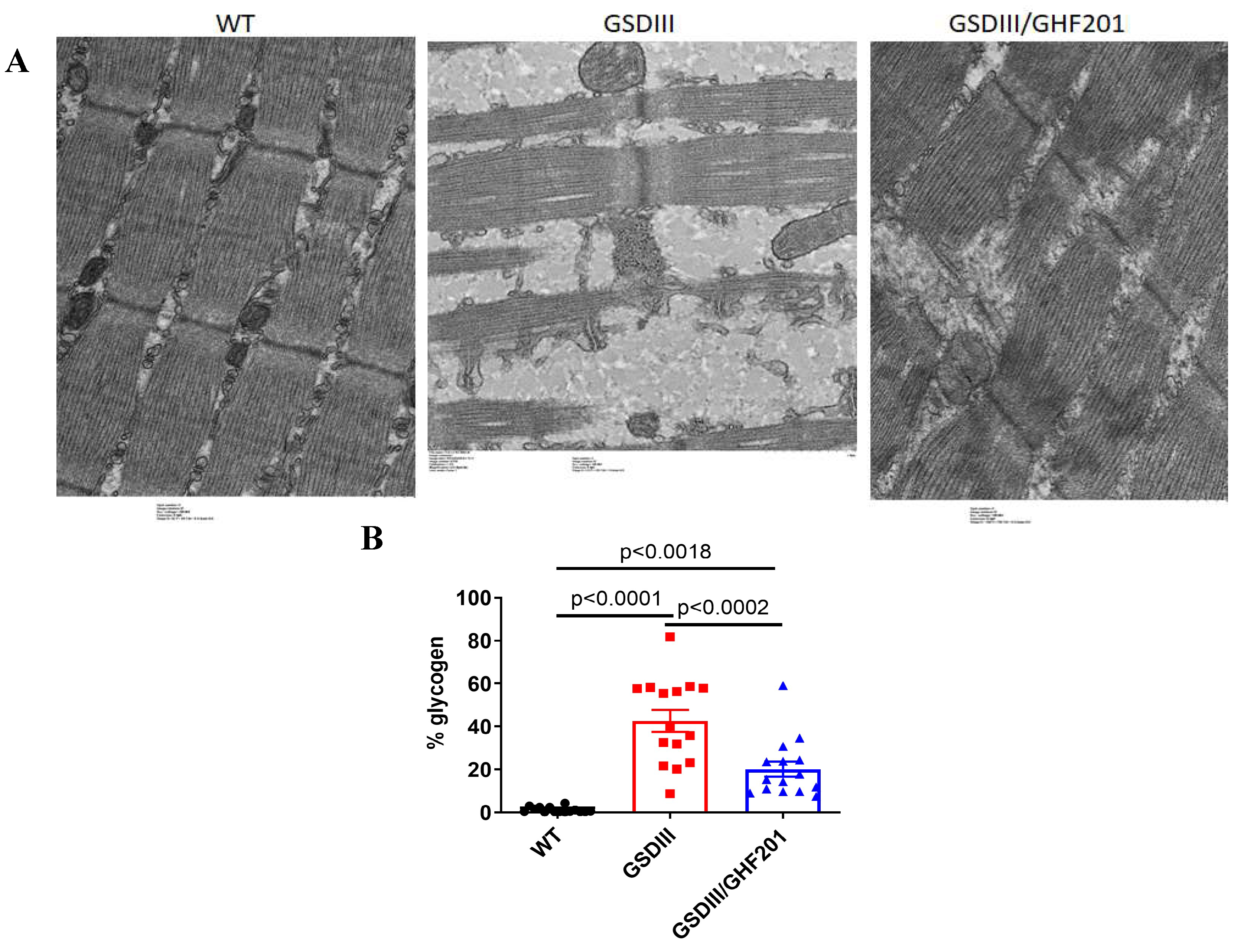 Preprints 108436 g005