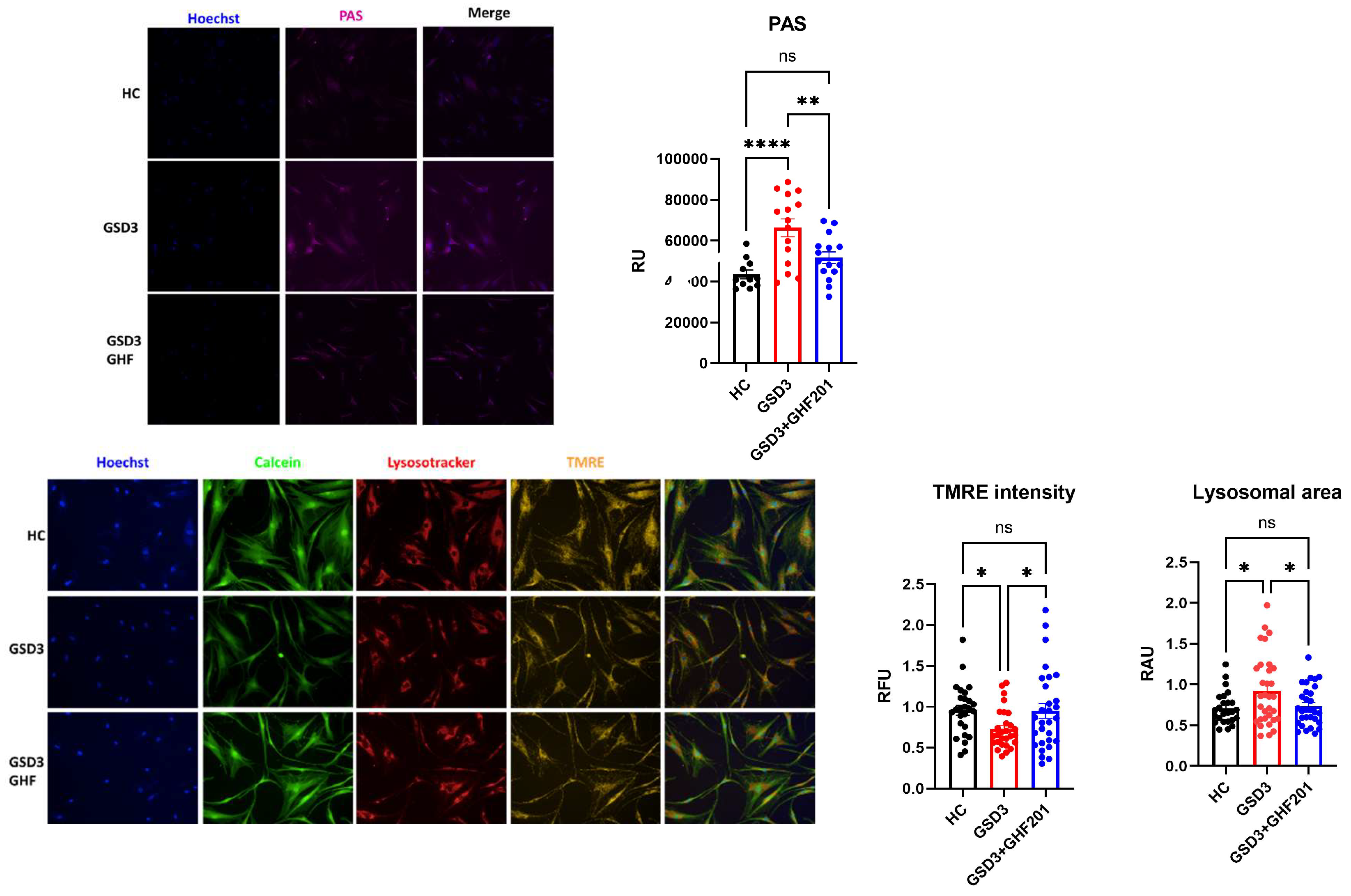 Preprints 108436 g006