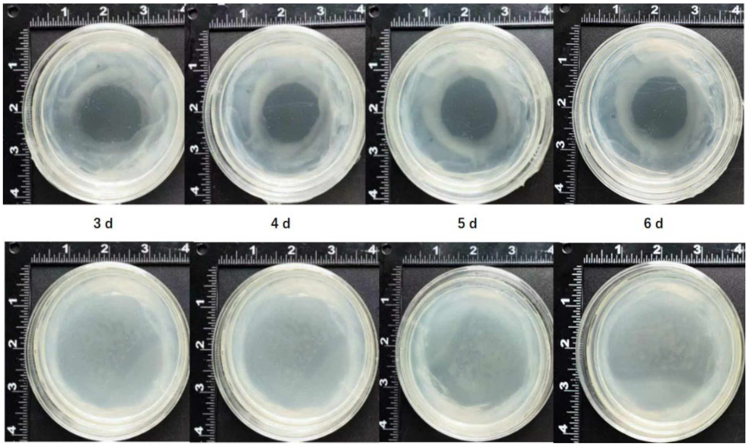 Preprints 111420 g004