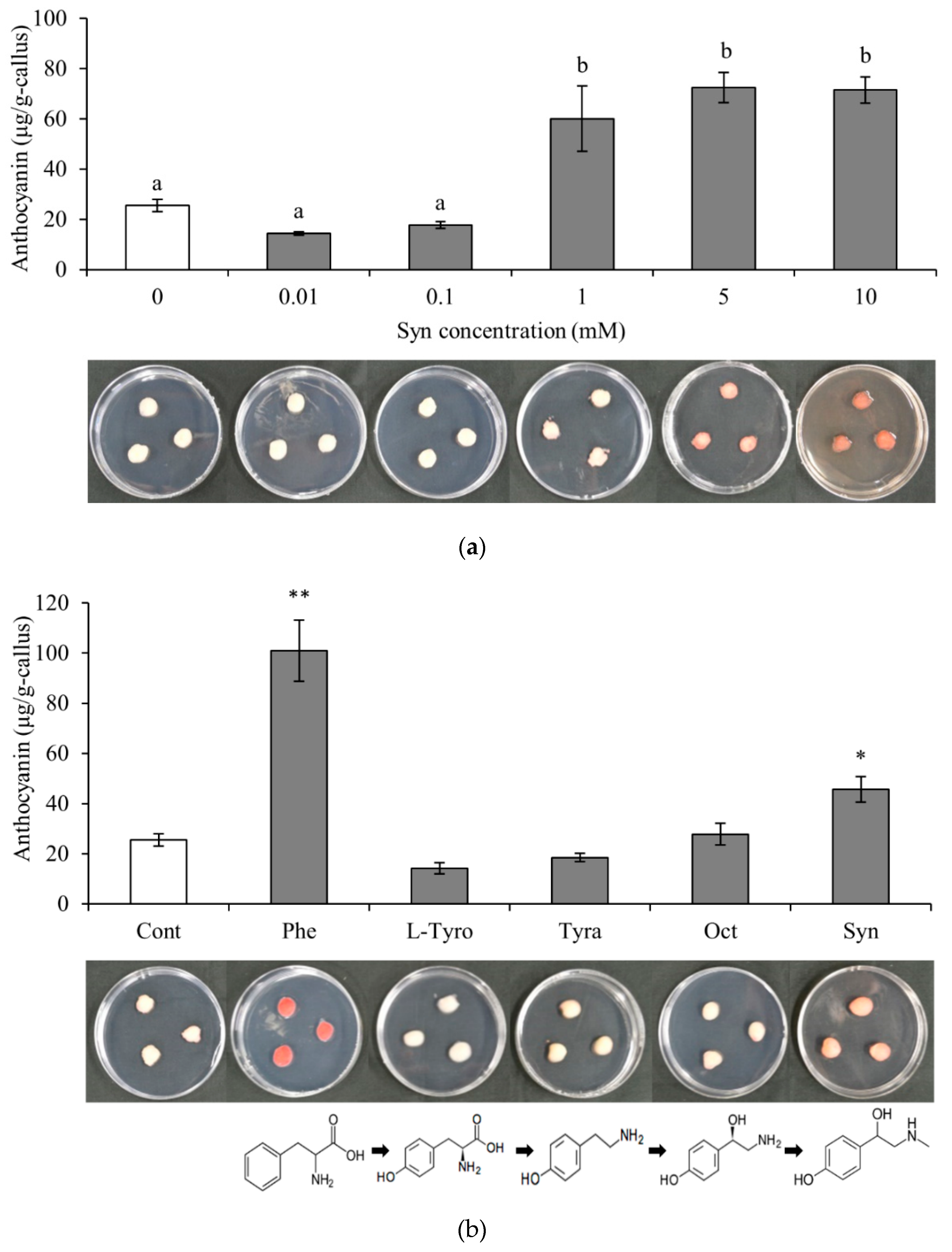 Preprints 104497 g001