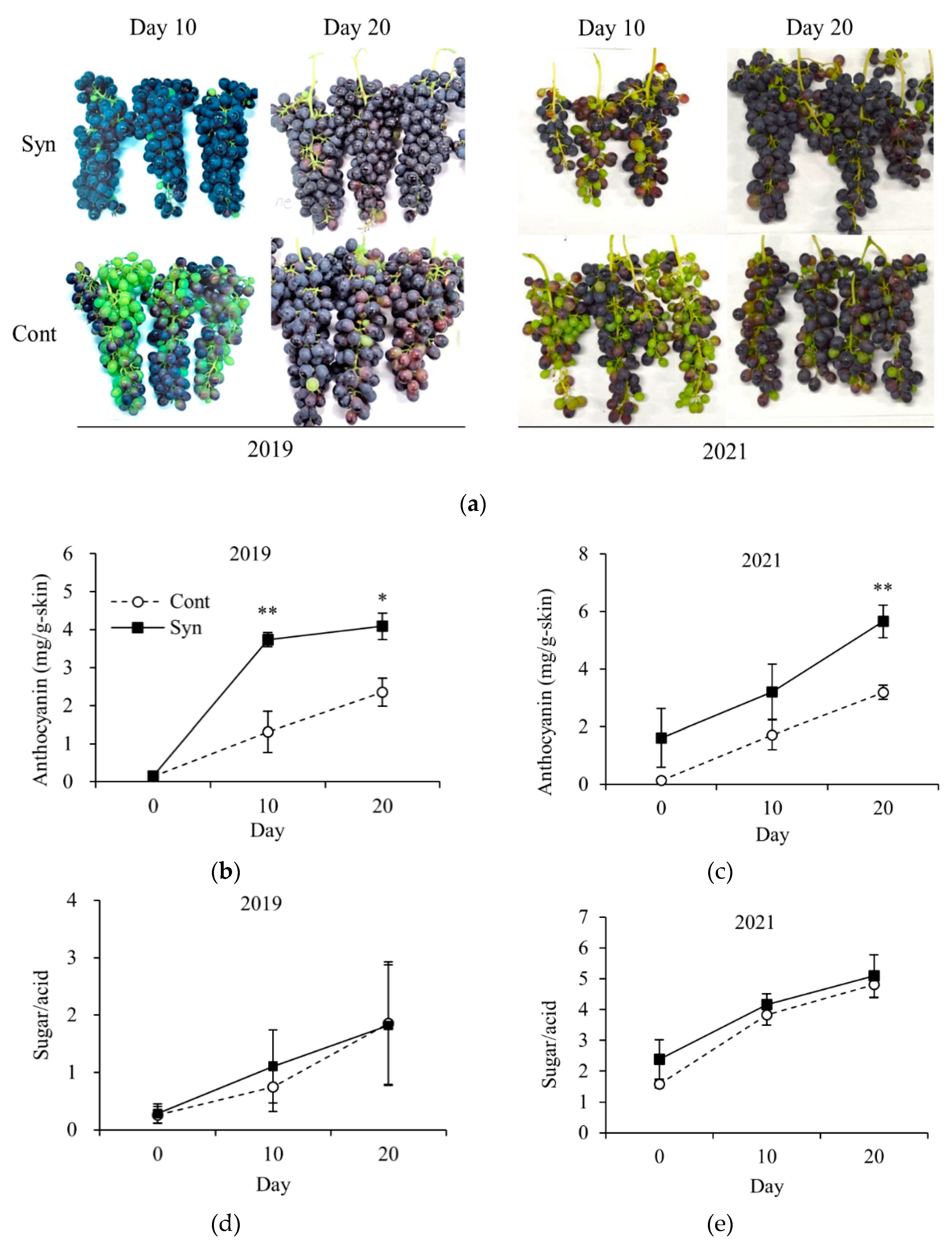 Preprints 104497 g002