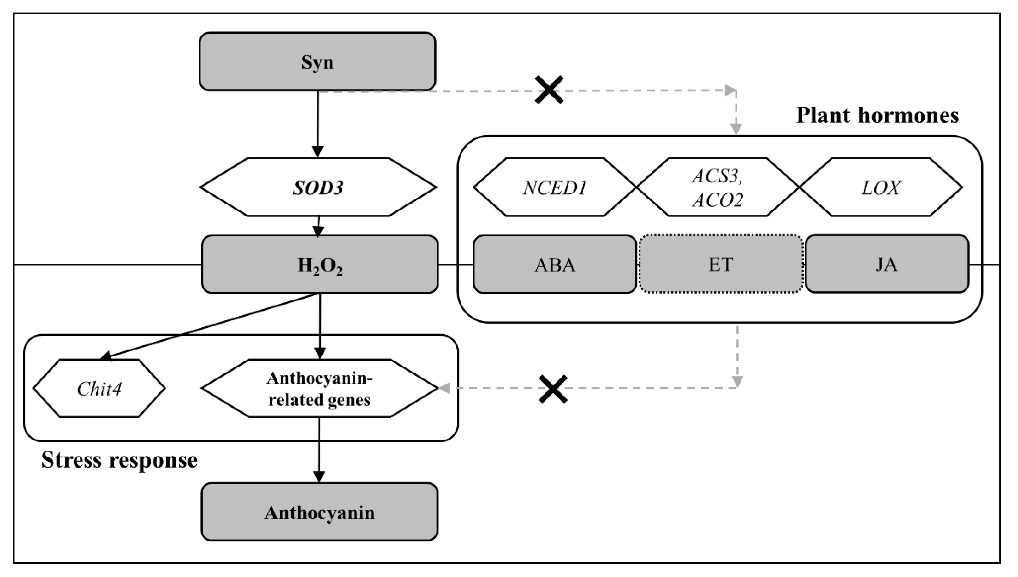 Preprints 104497 g007