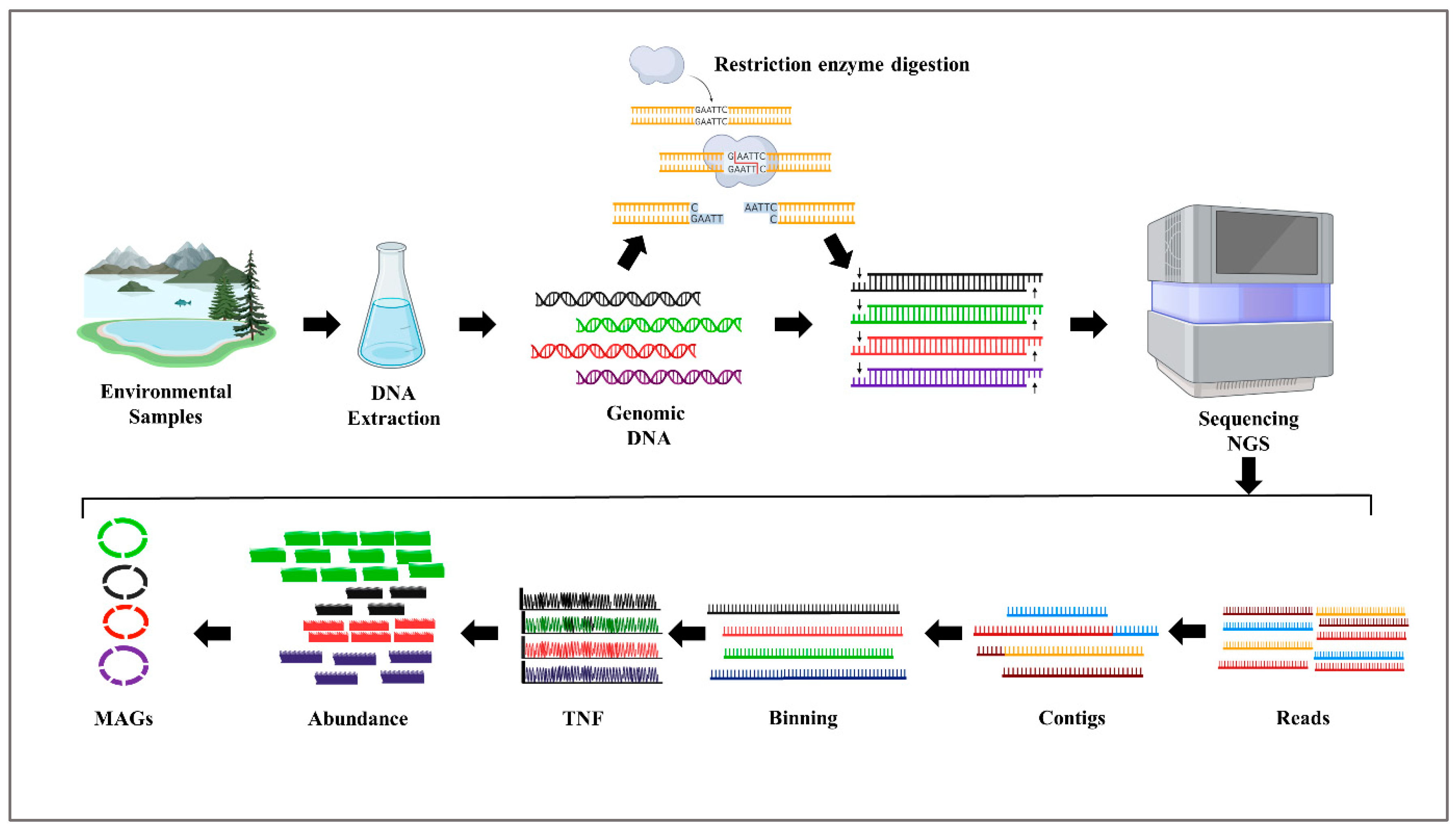 Preprints 120619 g001