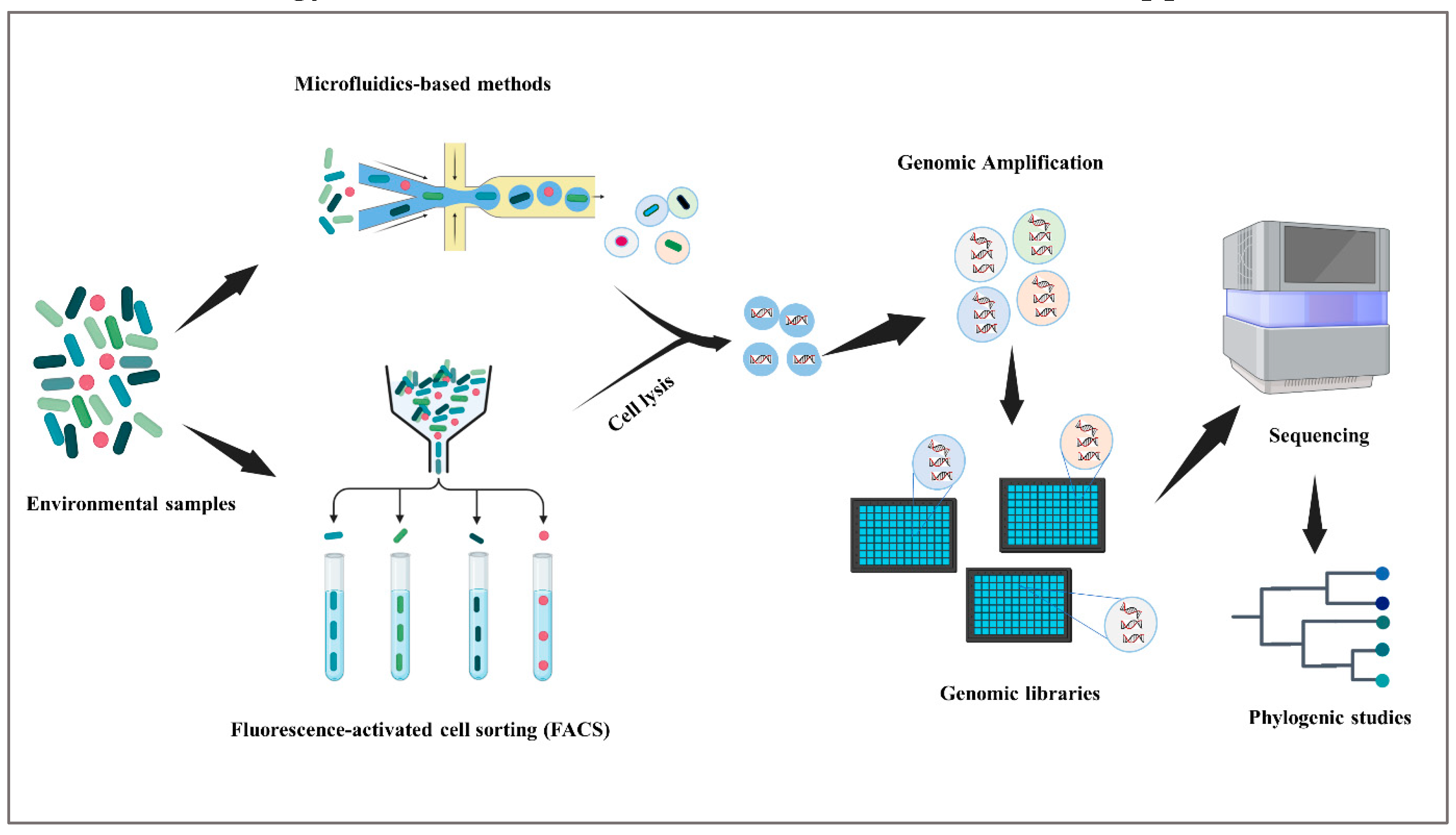 Preprints 120619 g002