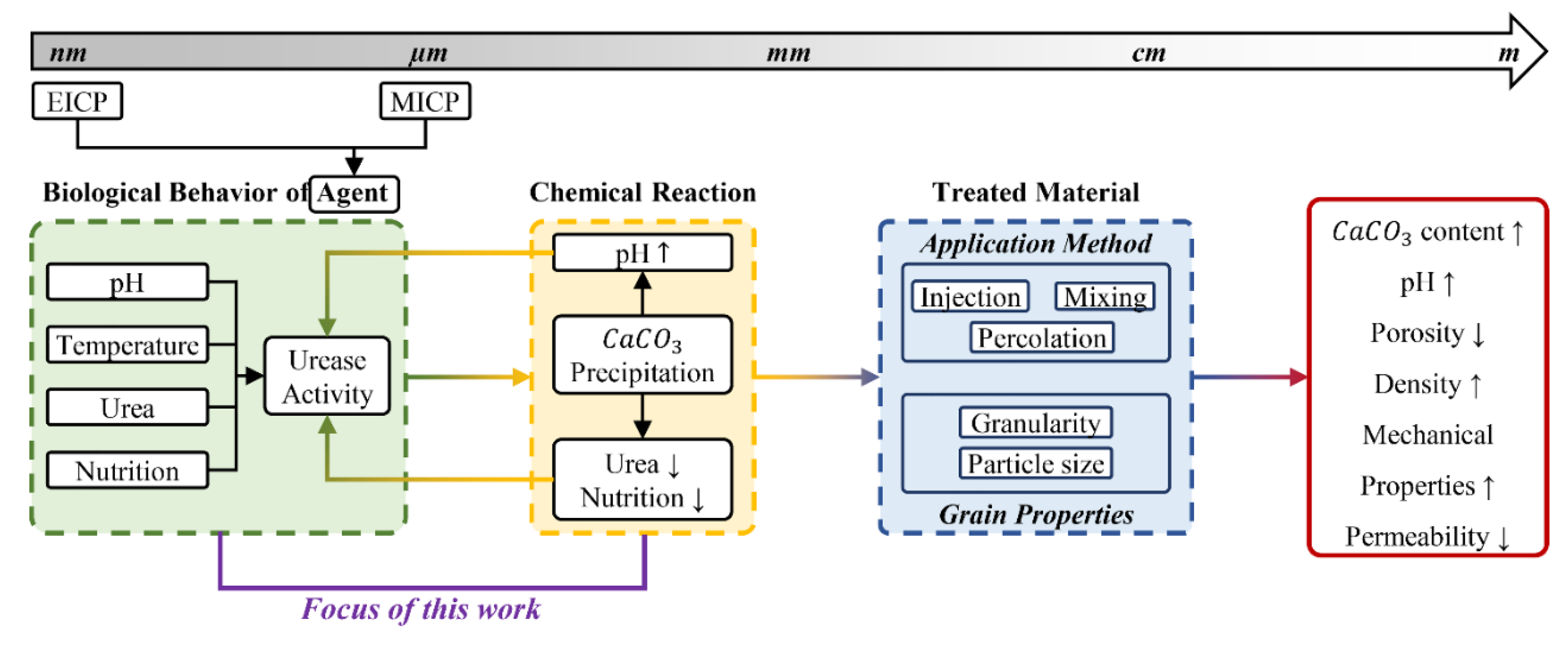 Preprints 117743 g001