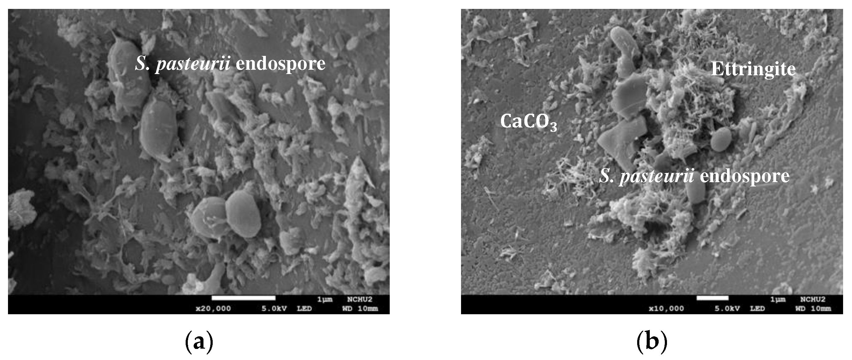 Preprints 90922 g020