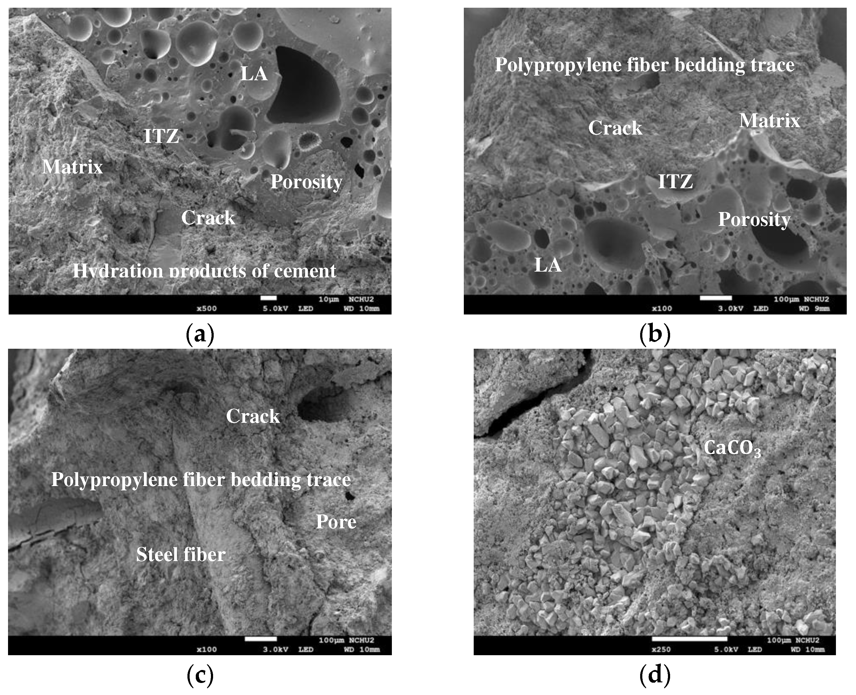 Preprints 90922 g021