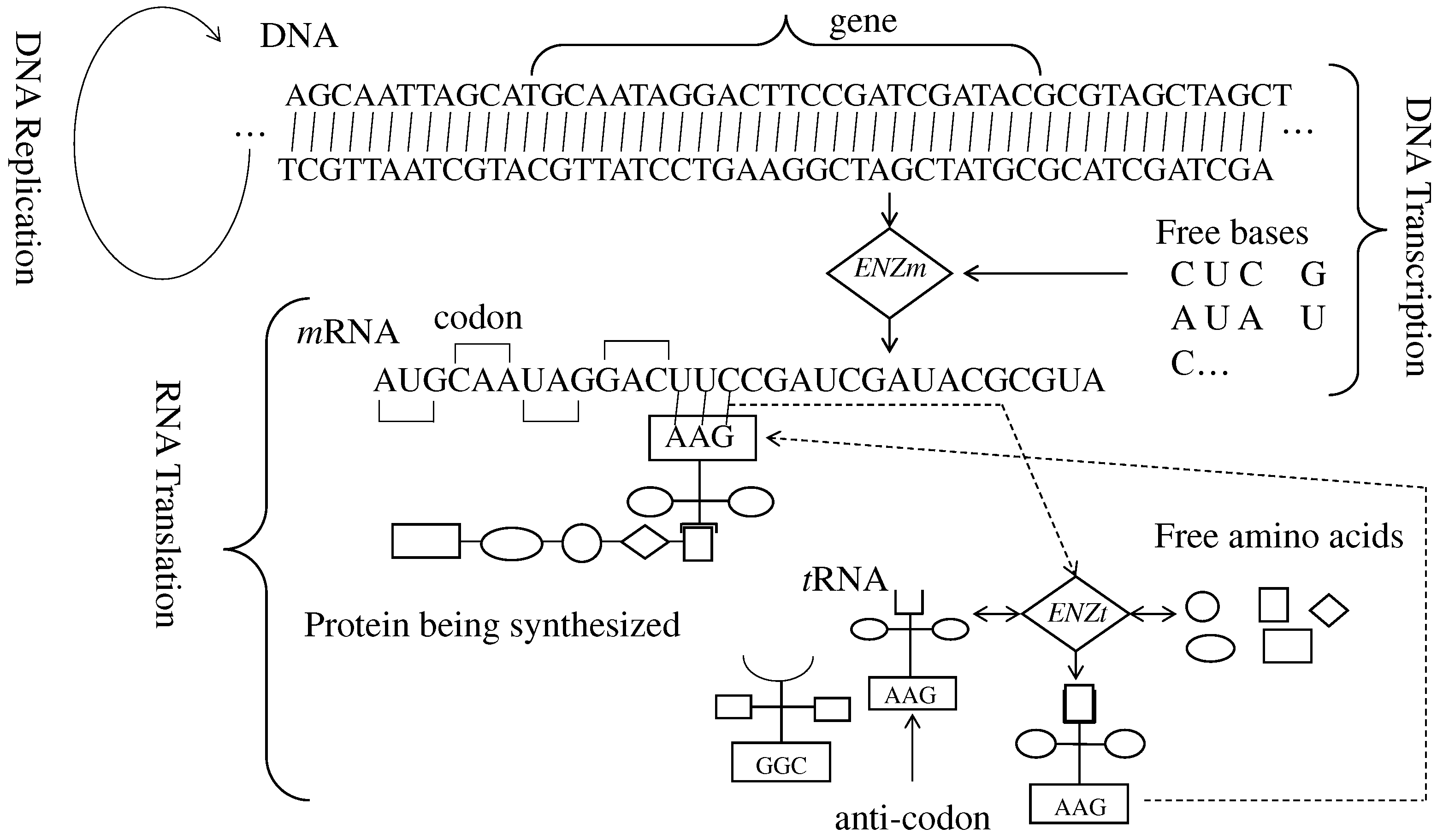 Preprints 88590 g001