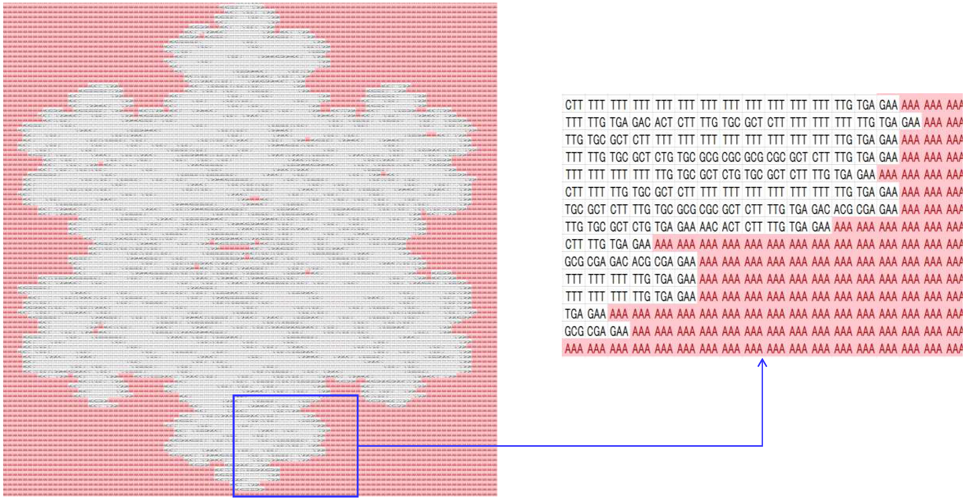 Preprints 88590 g008