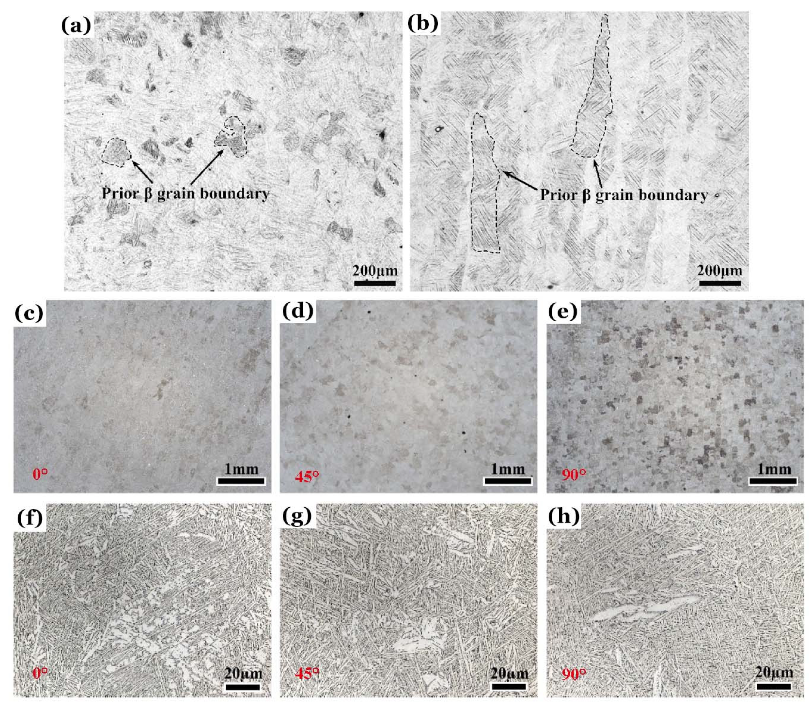 Preprints 113954 g005