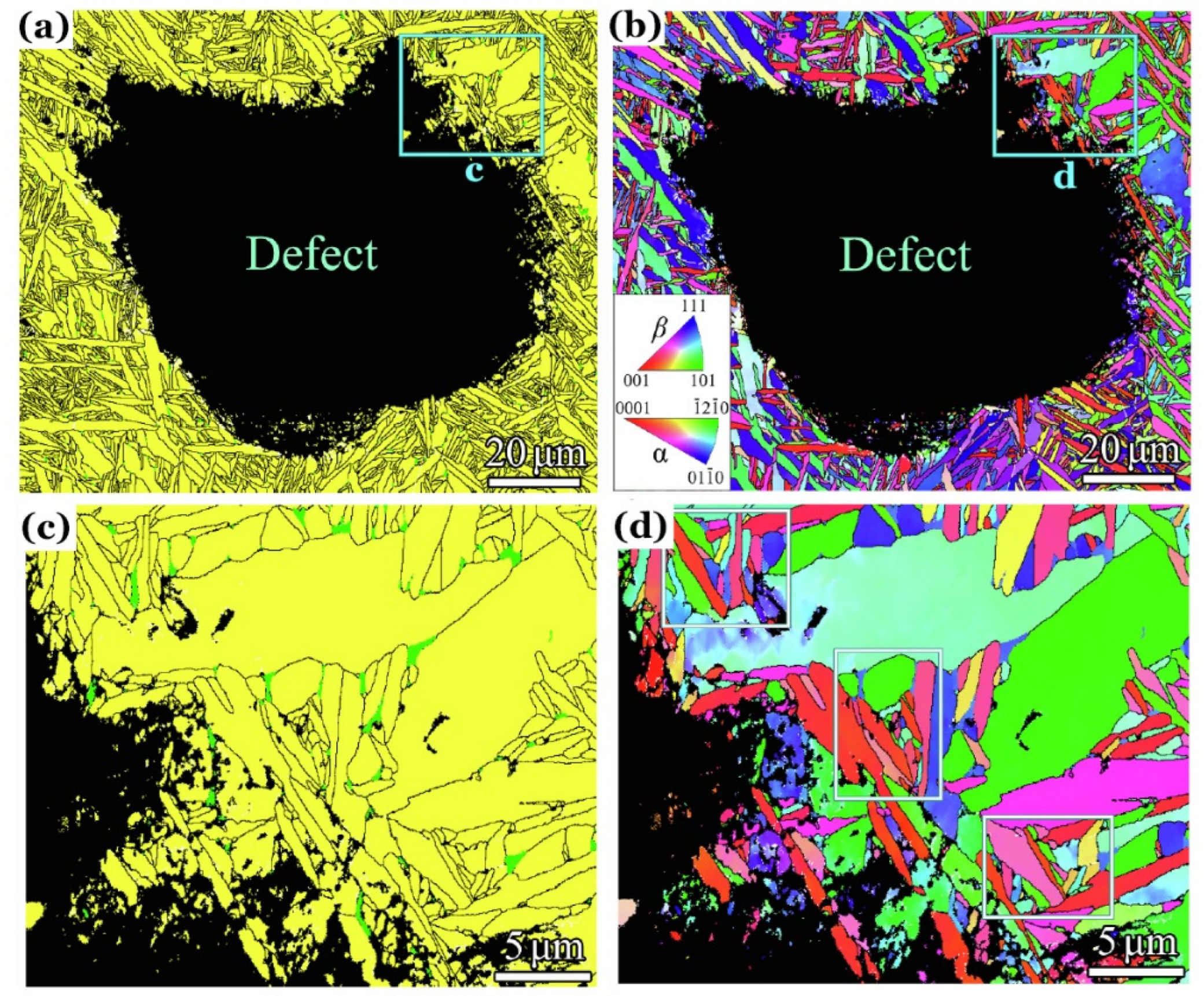 Preprints 113954 g006