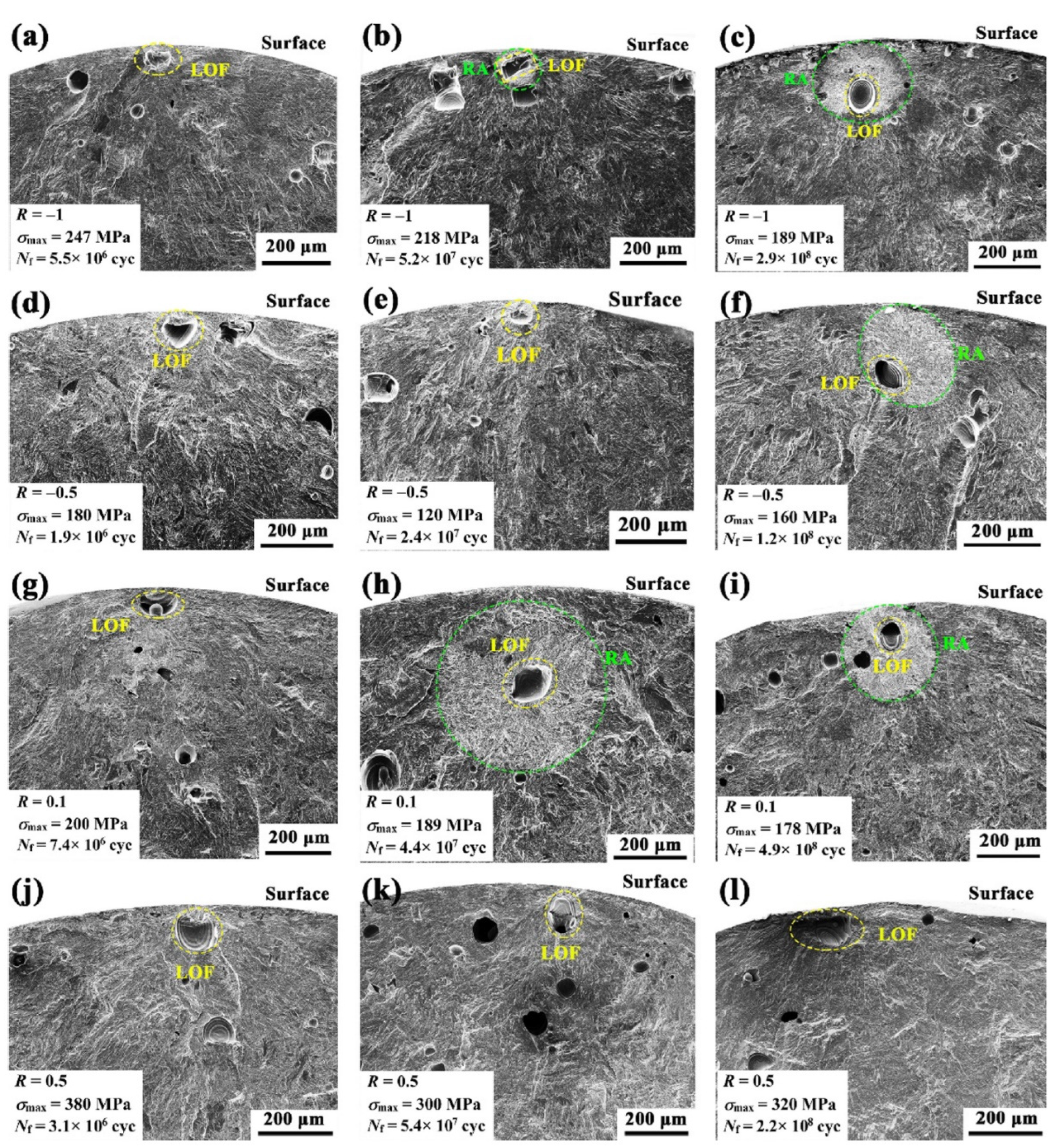 Preprints 113954 g013