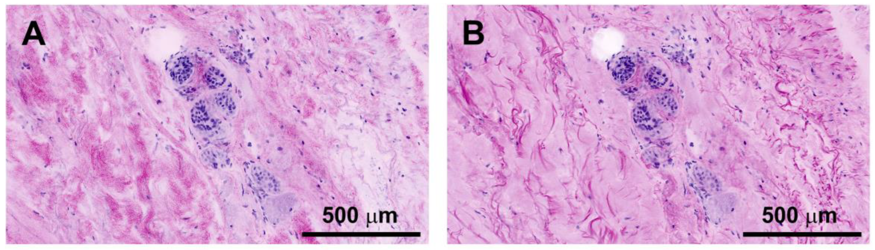 Preprints 115996 g002