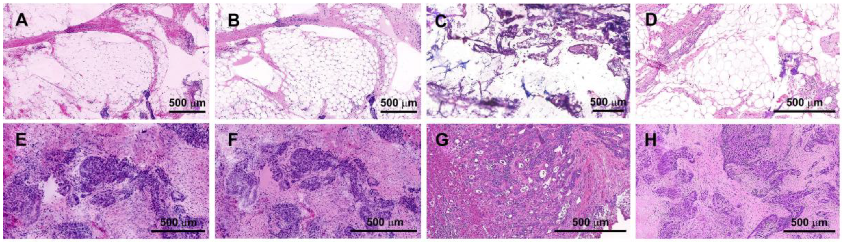 Preprints 115996 g003