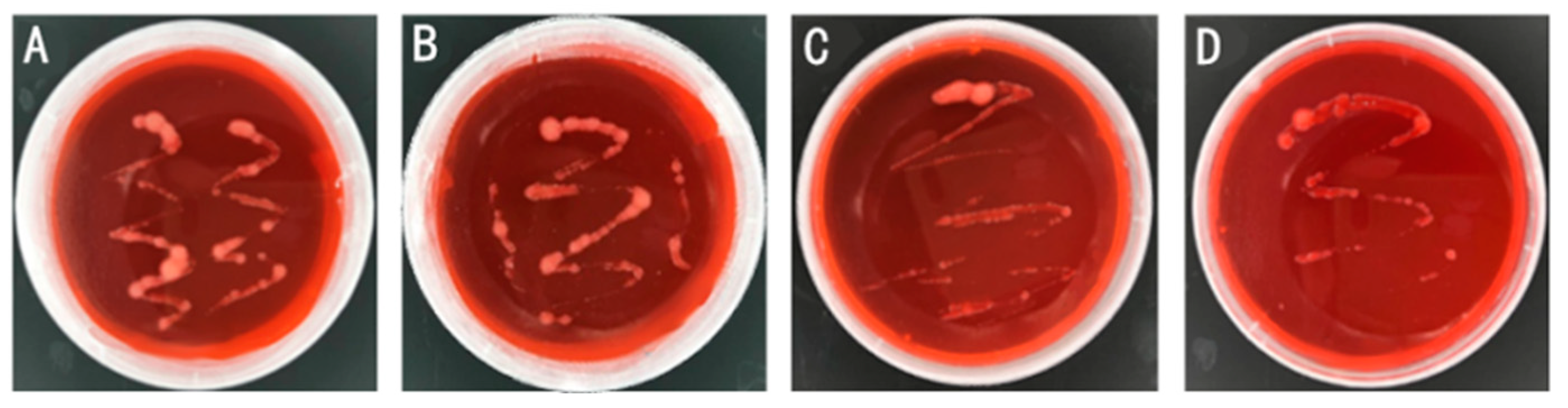 Preprints 98041 g001