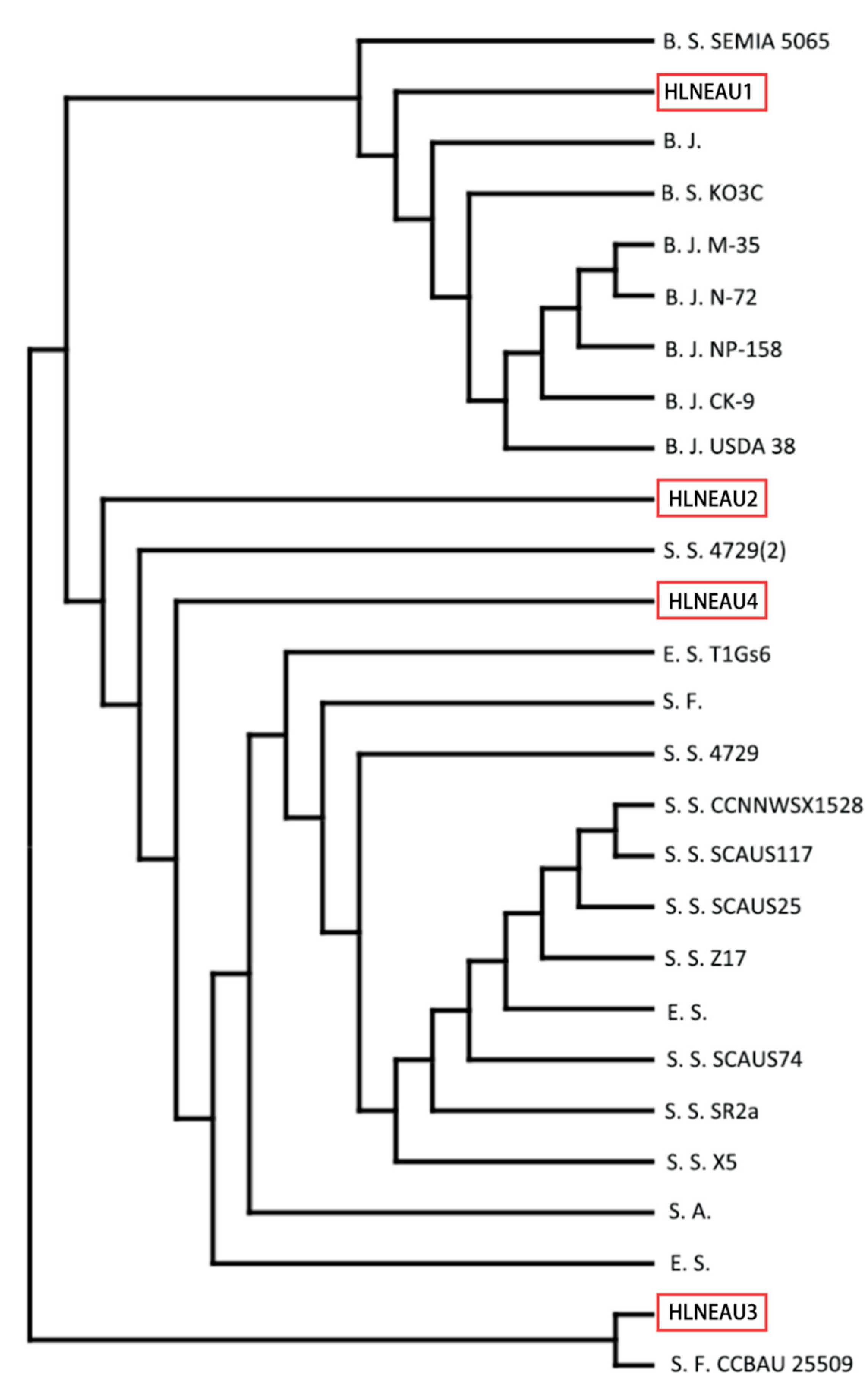 Preprints 98041 g003