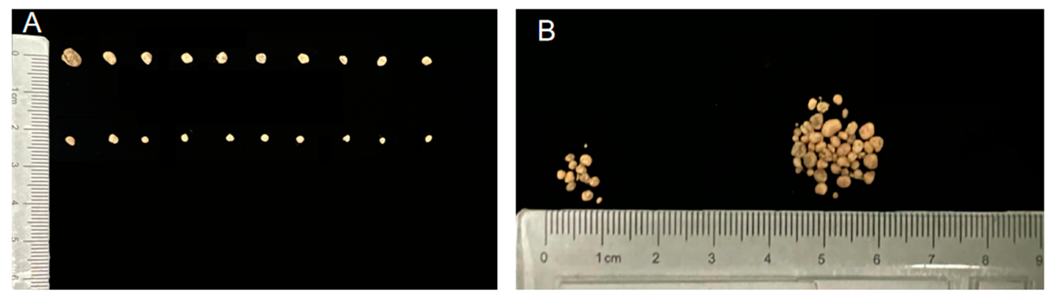 Preprints 98041 g004