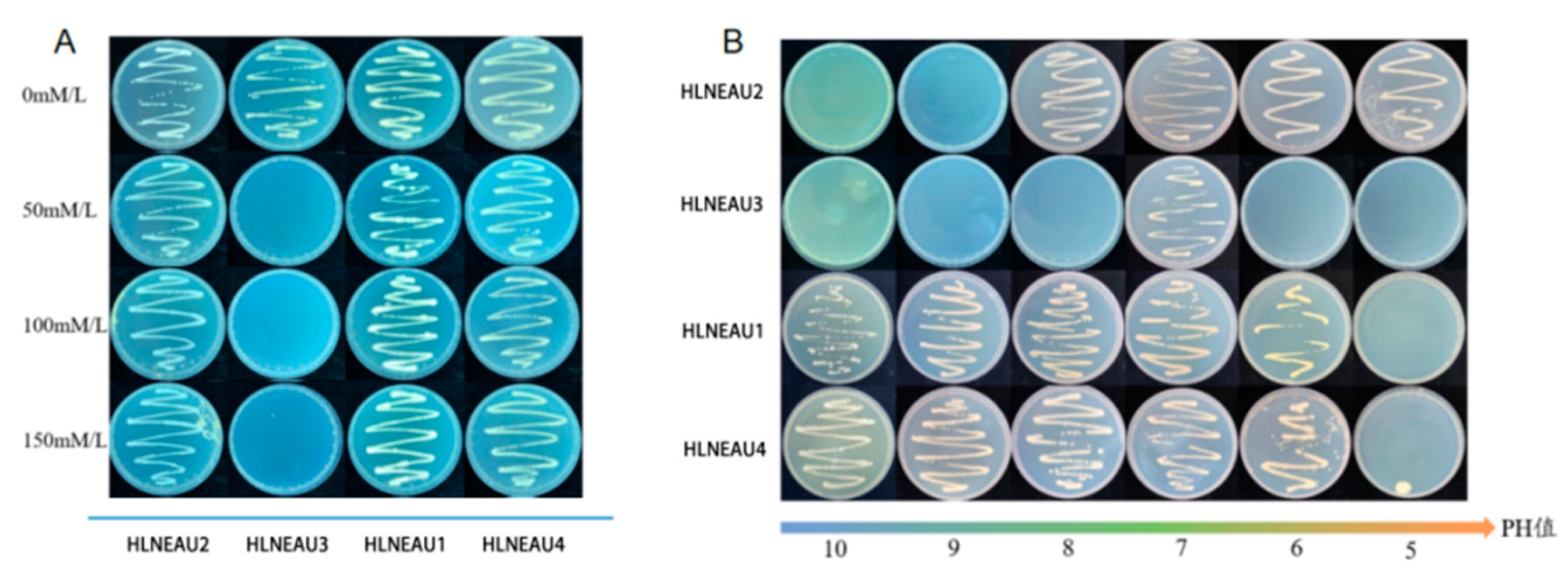 Preprints 98041 g007