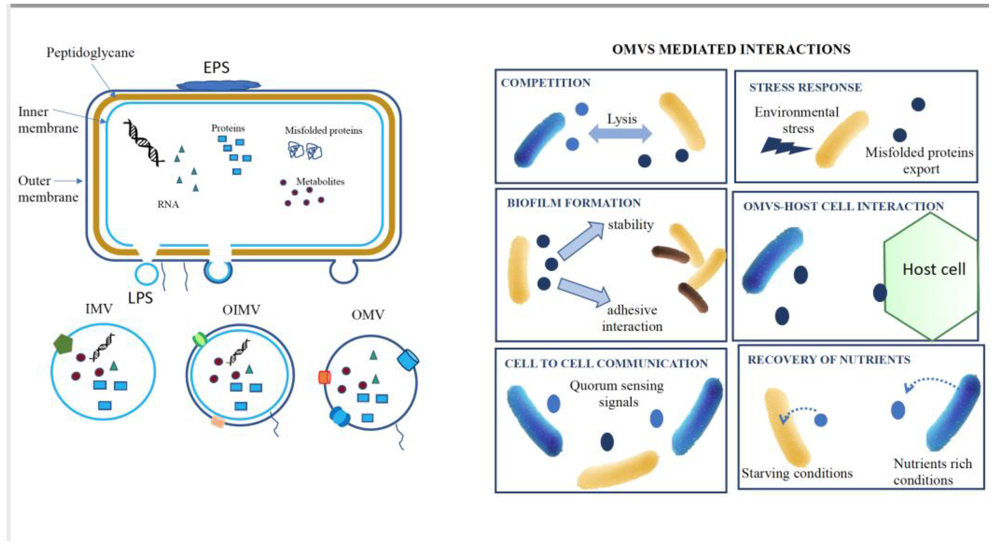 Preprints 99079 g001