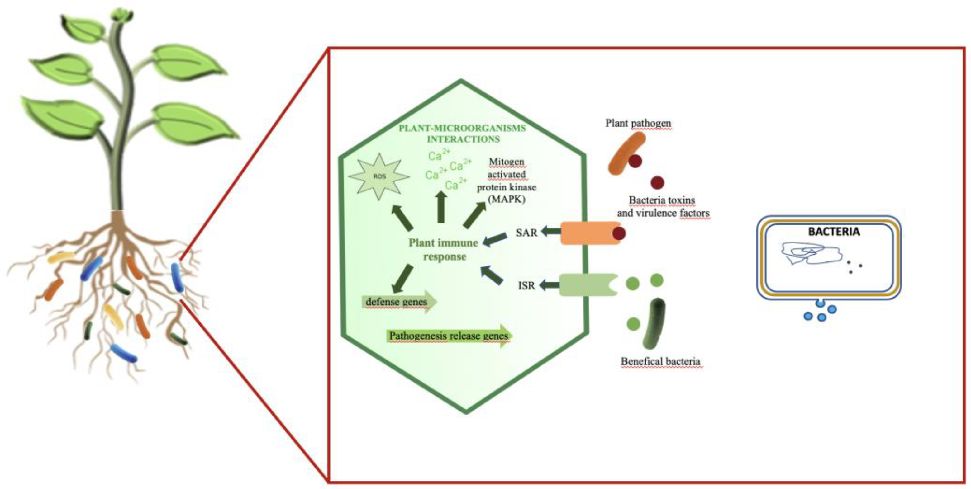 Preprints 99079 g002