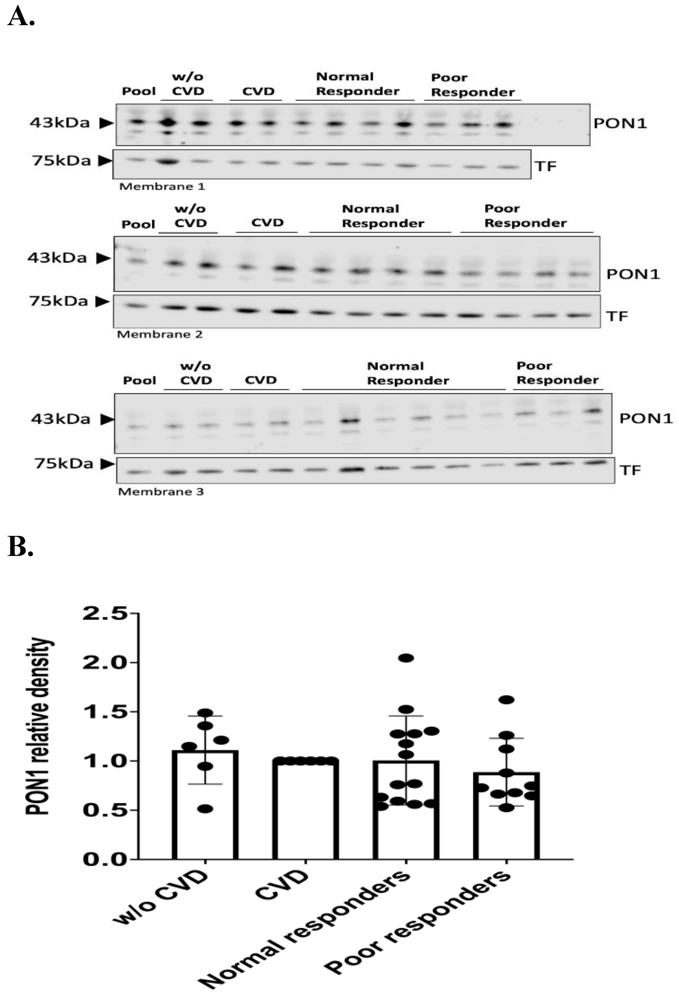 Preprints 116576 g002