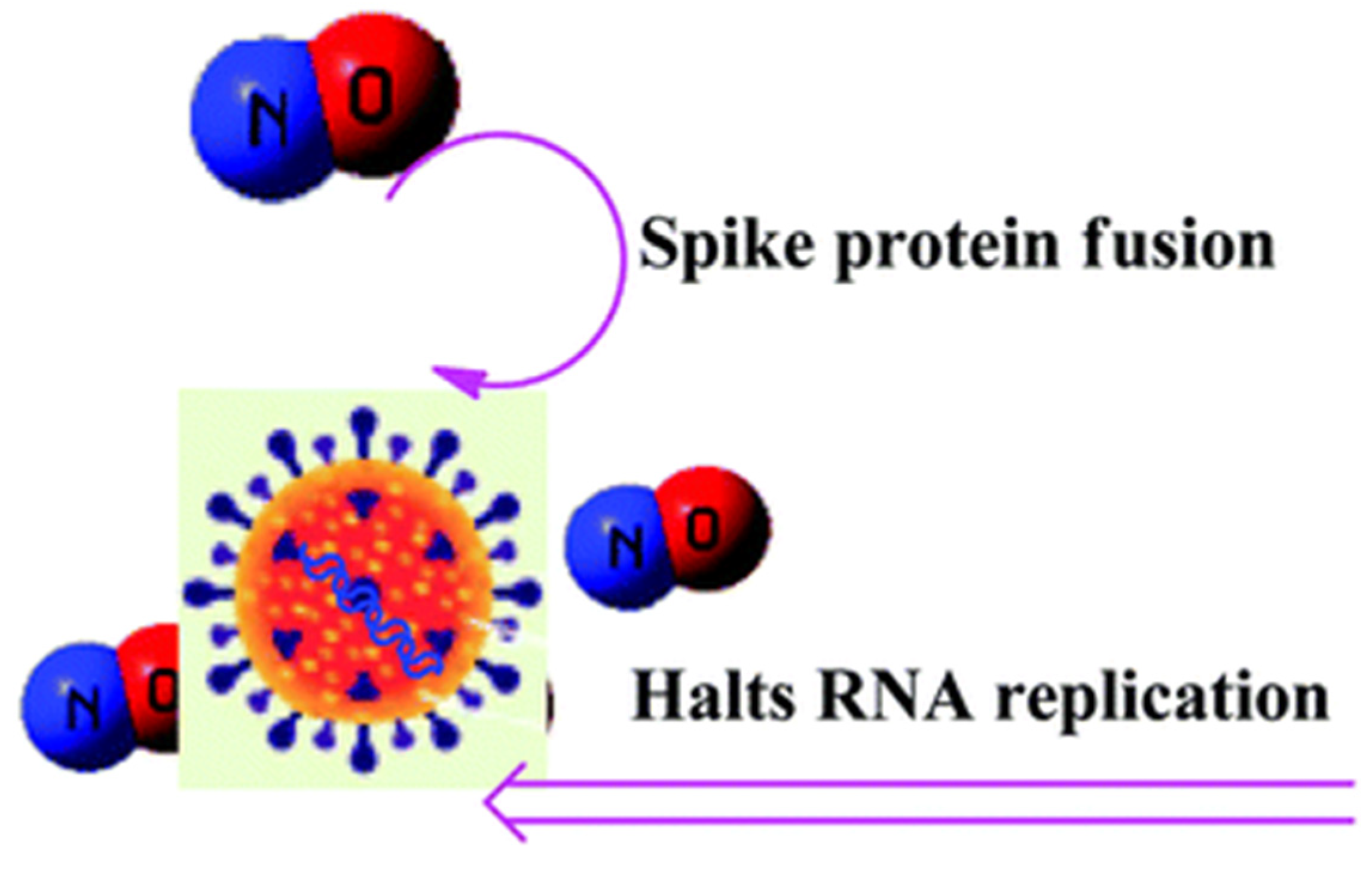 Preprints 97365 g002