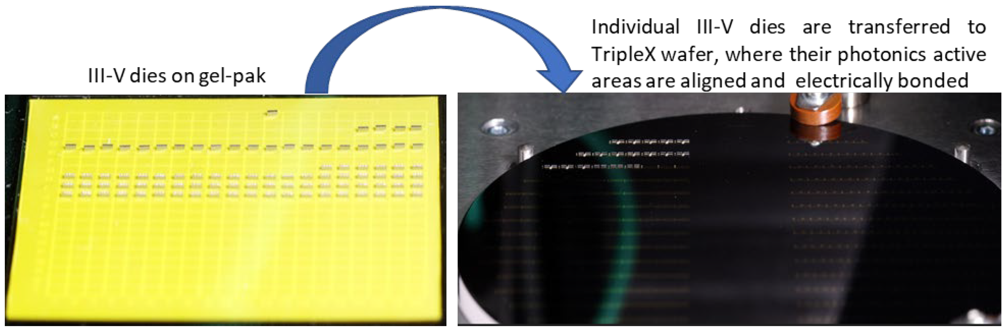 Preprints 110422 g002