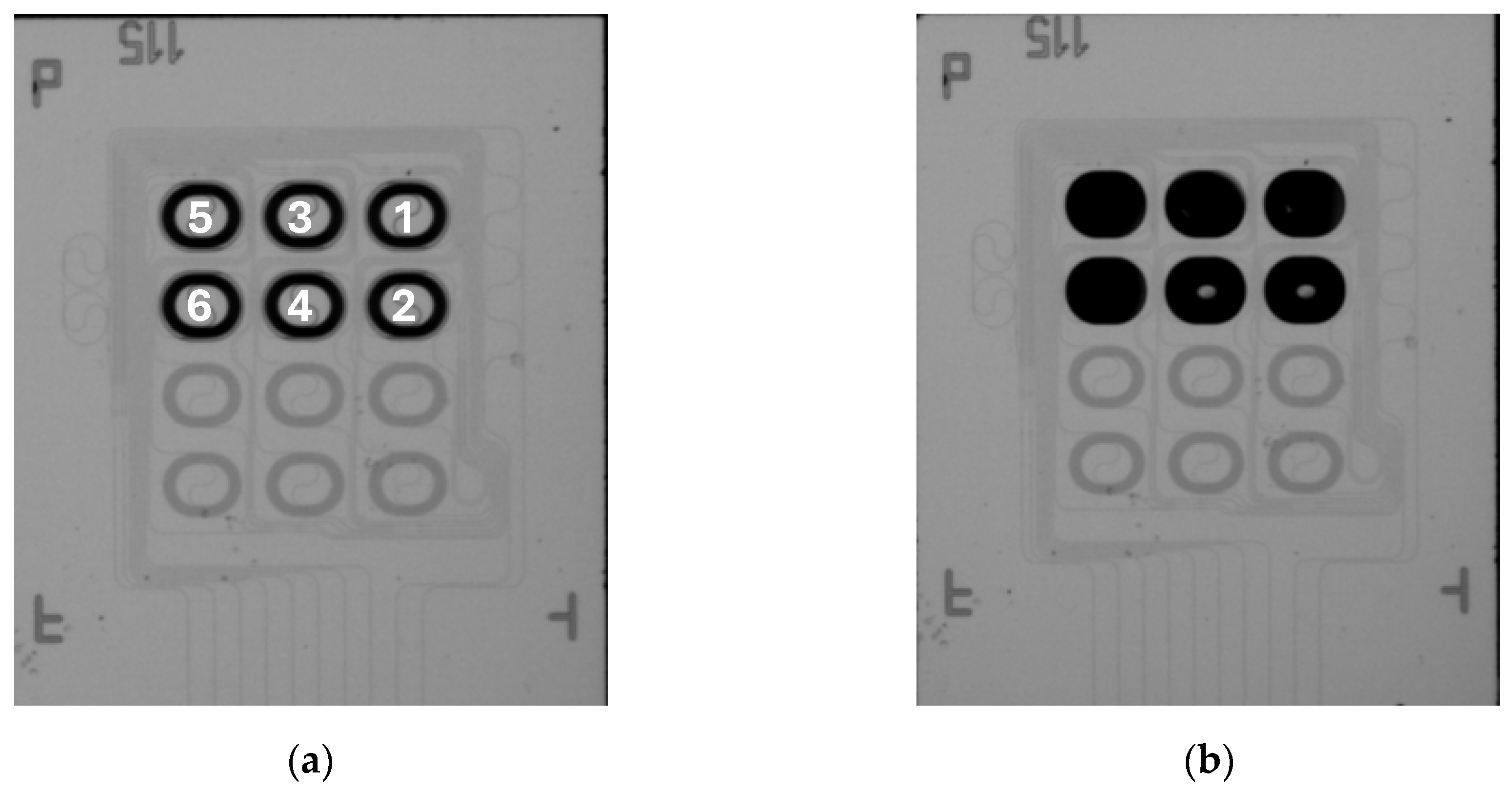 Preprints 110422 g017