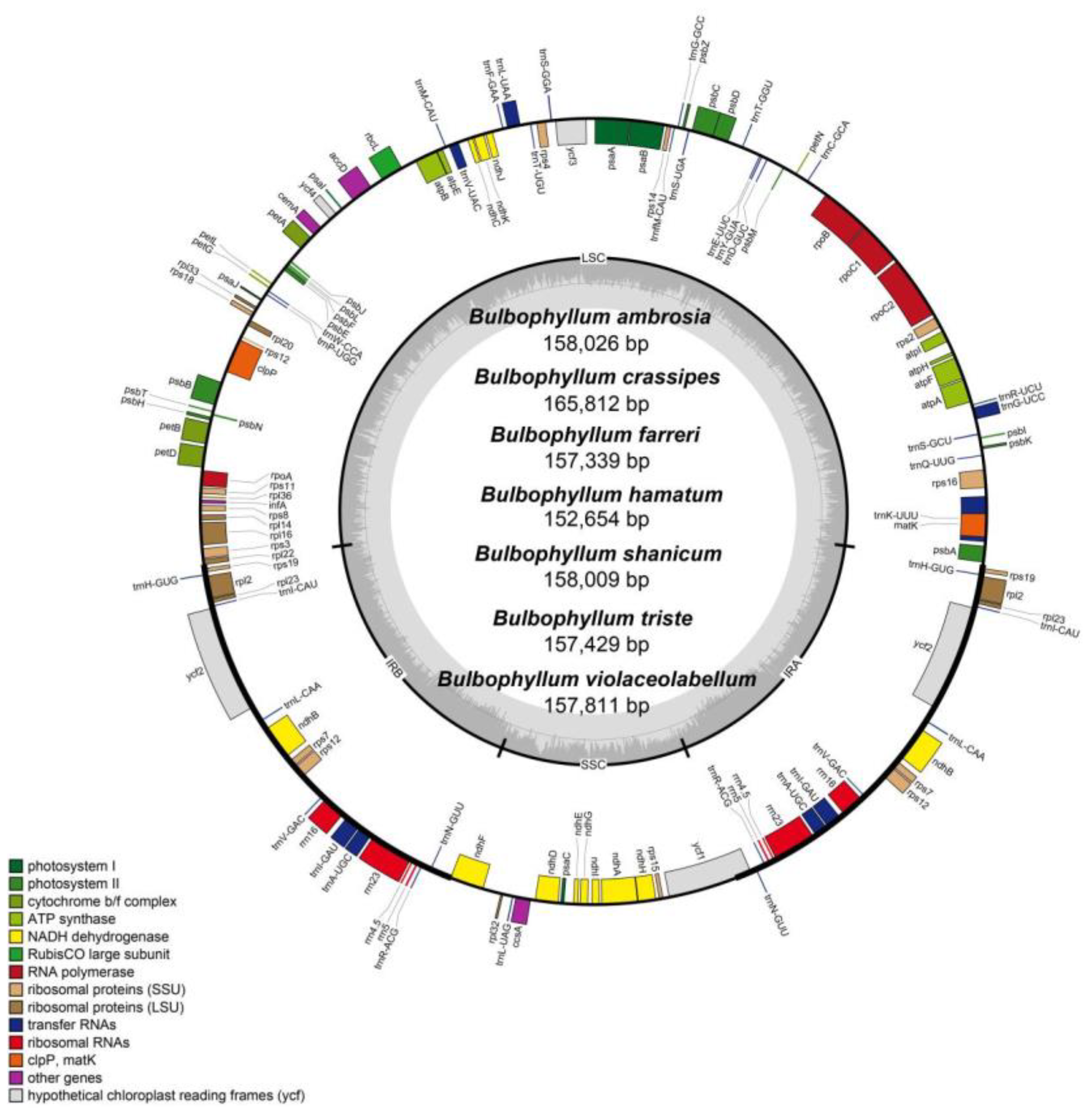 Preprints 94398 g001