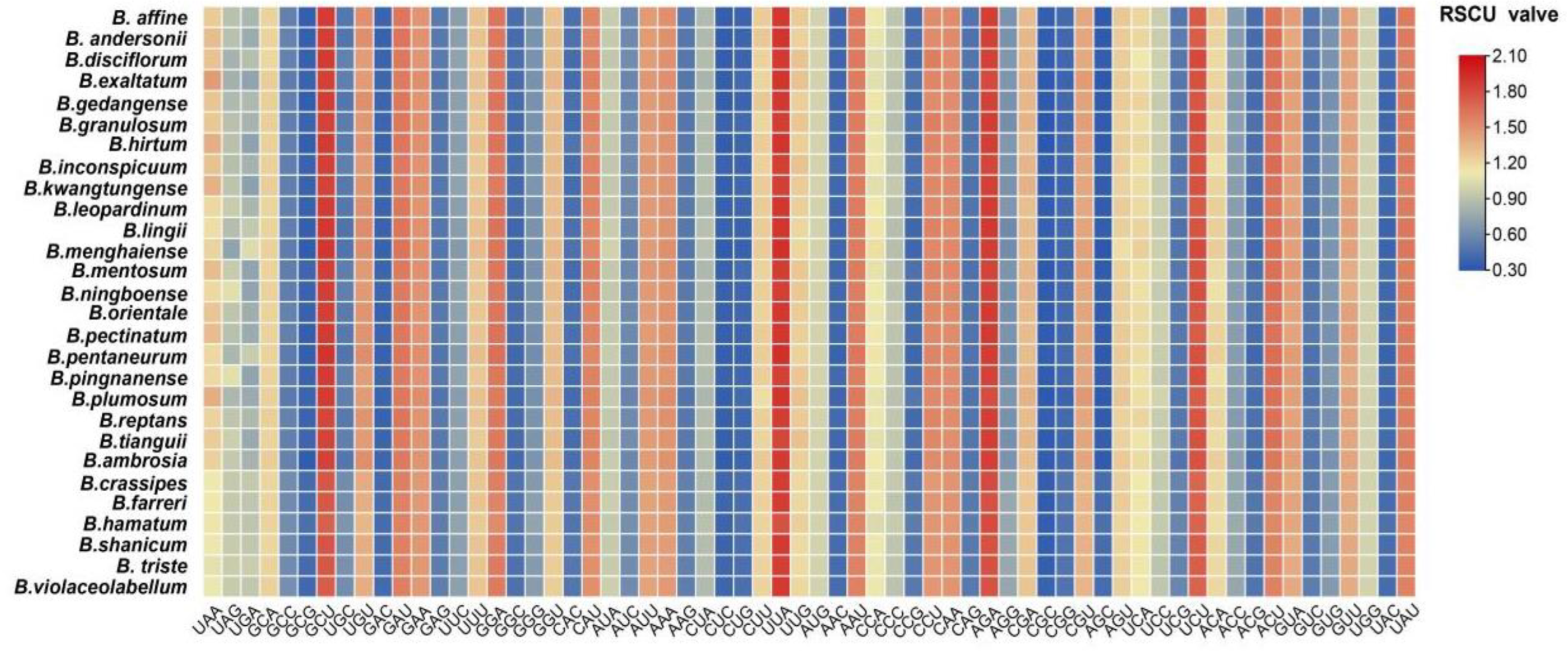 Preprints 94398 g003