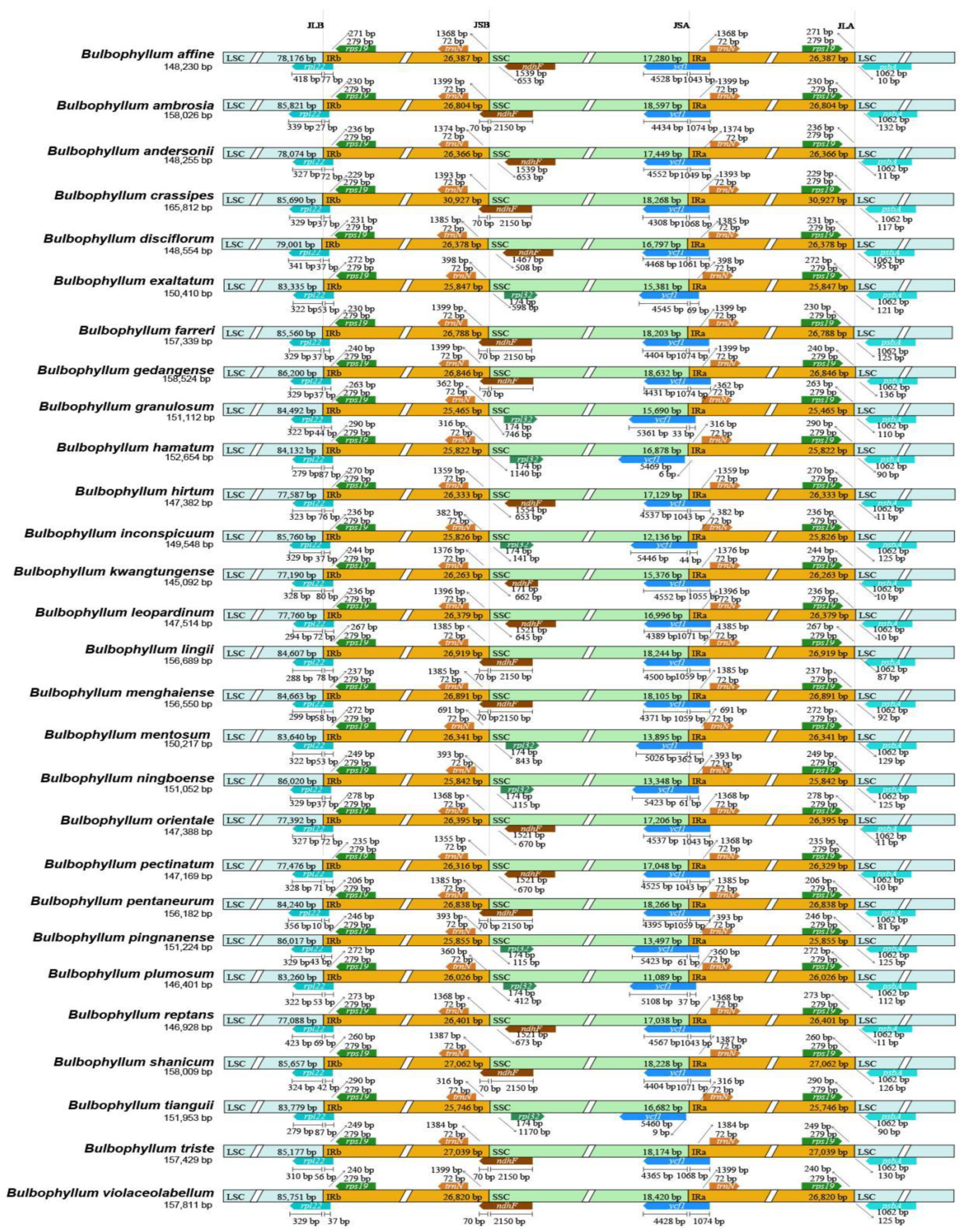 Preprints 94398 g004