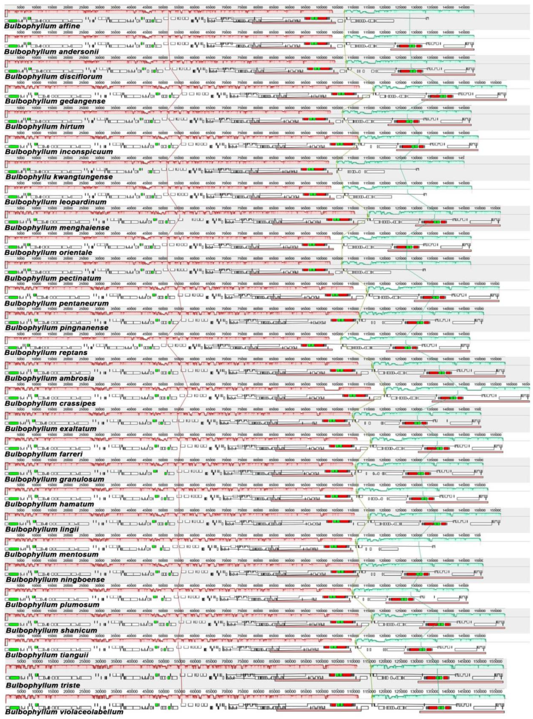 Preprints 94398 g006