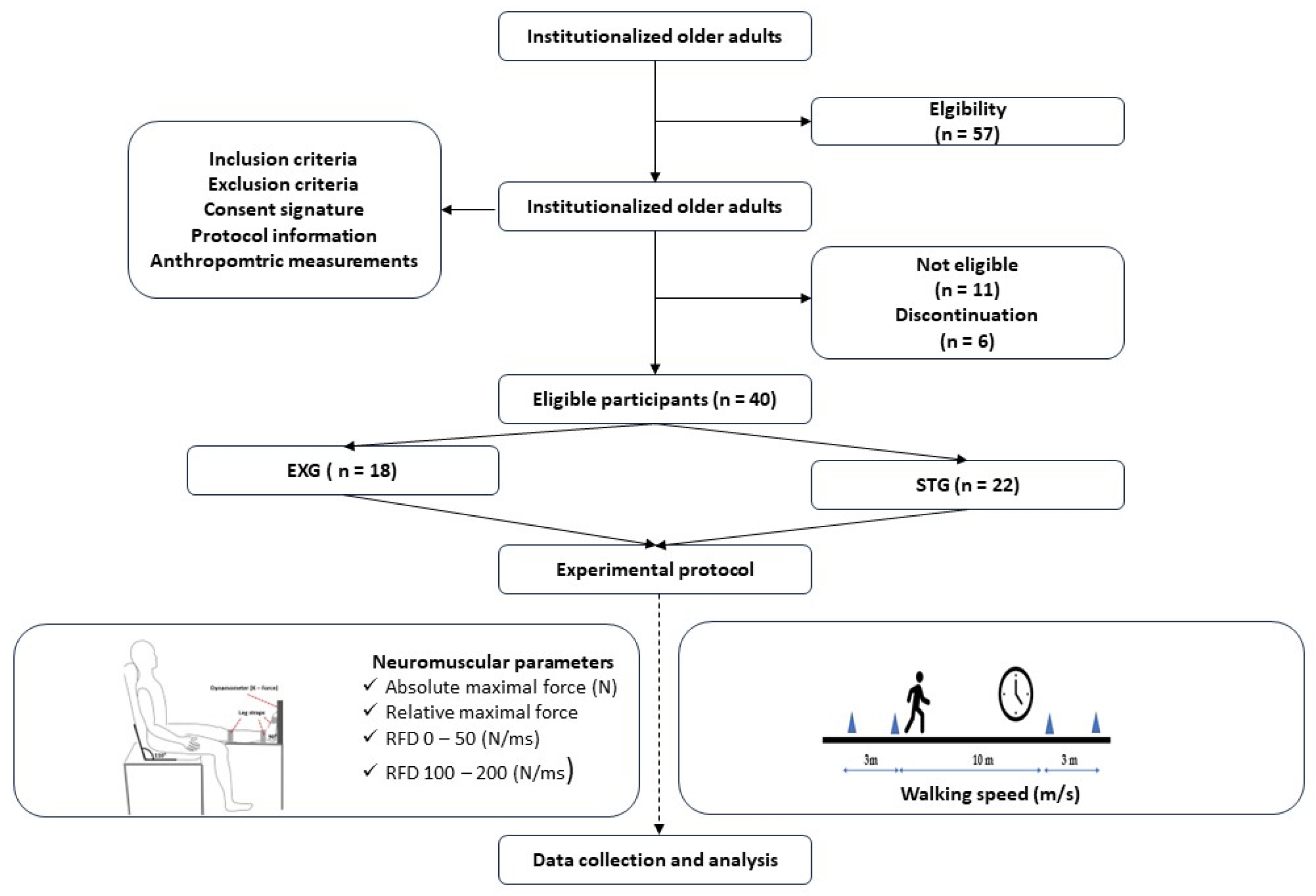 Preprints 119945 g002