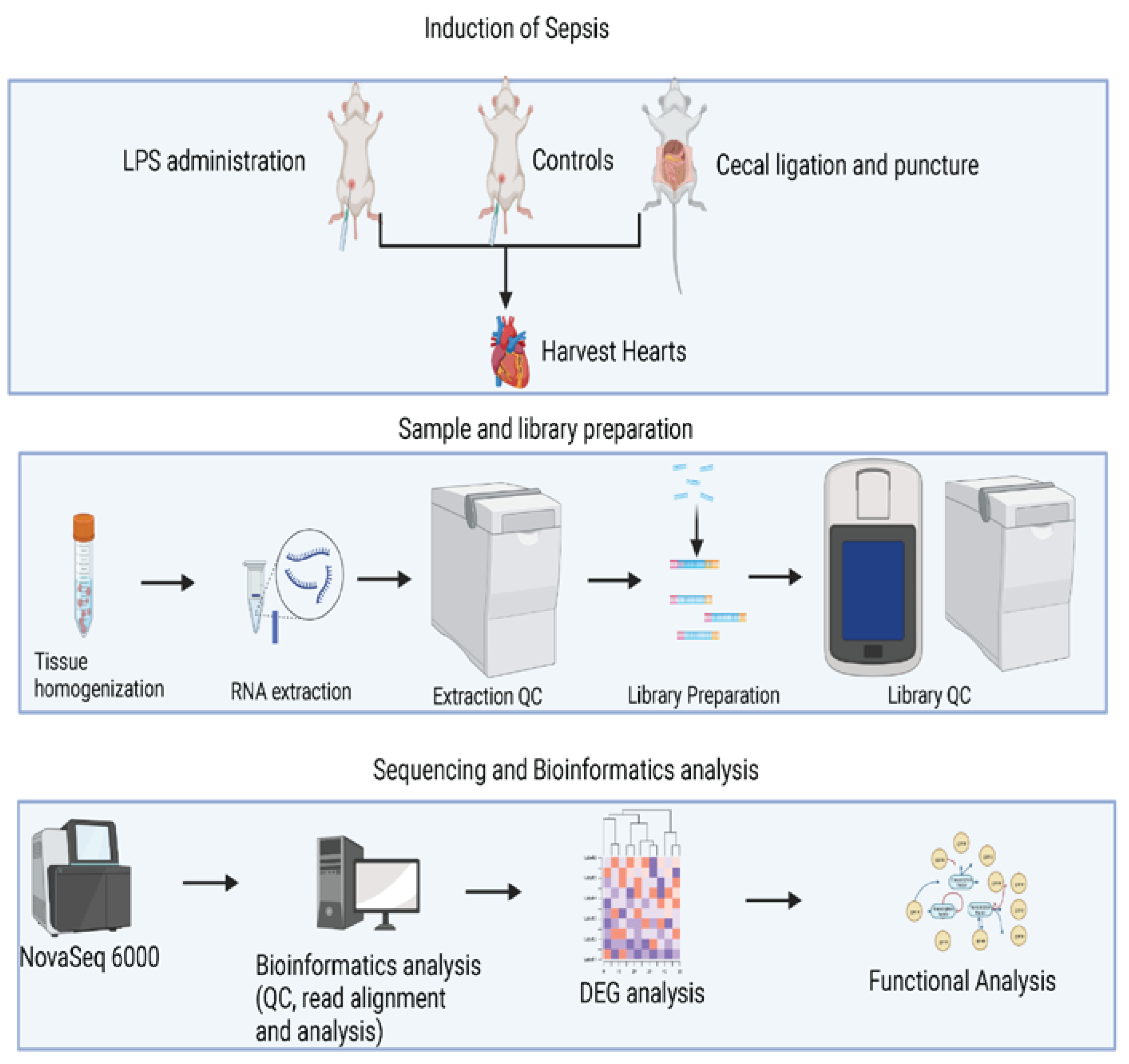 Preprints 73580 g001